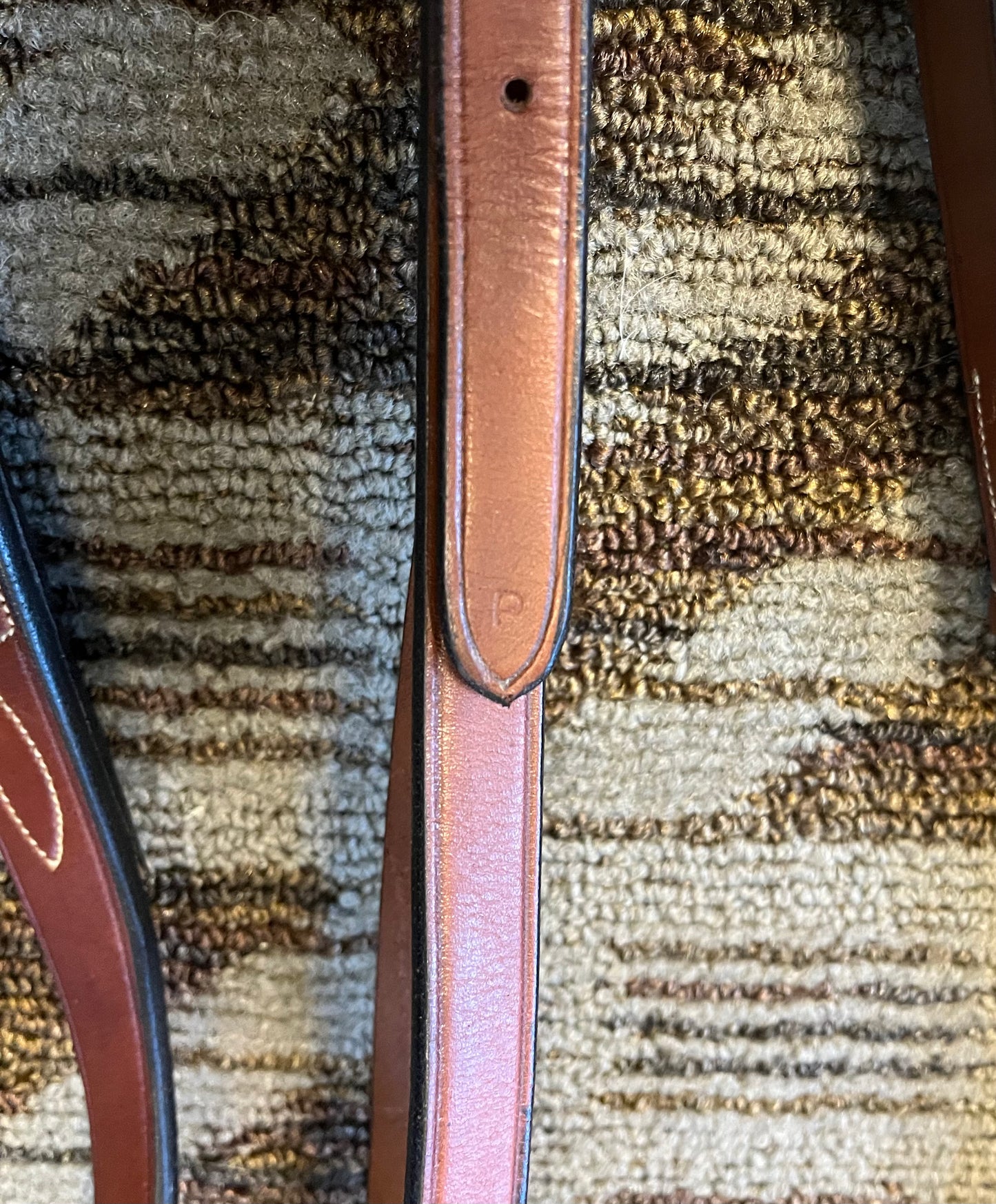 Rodrigo Running Martingale