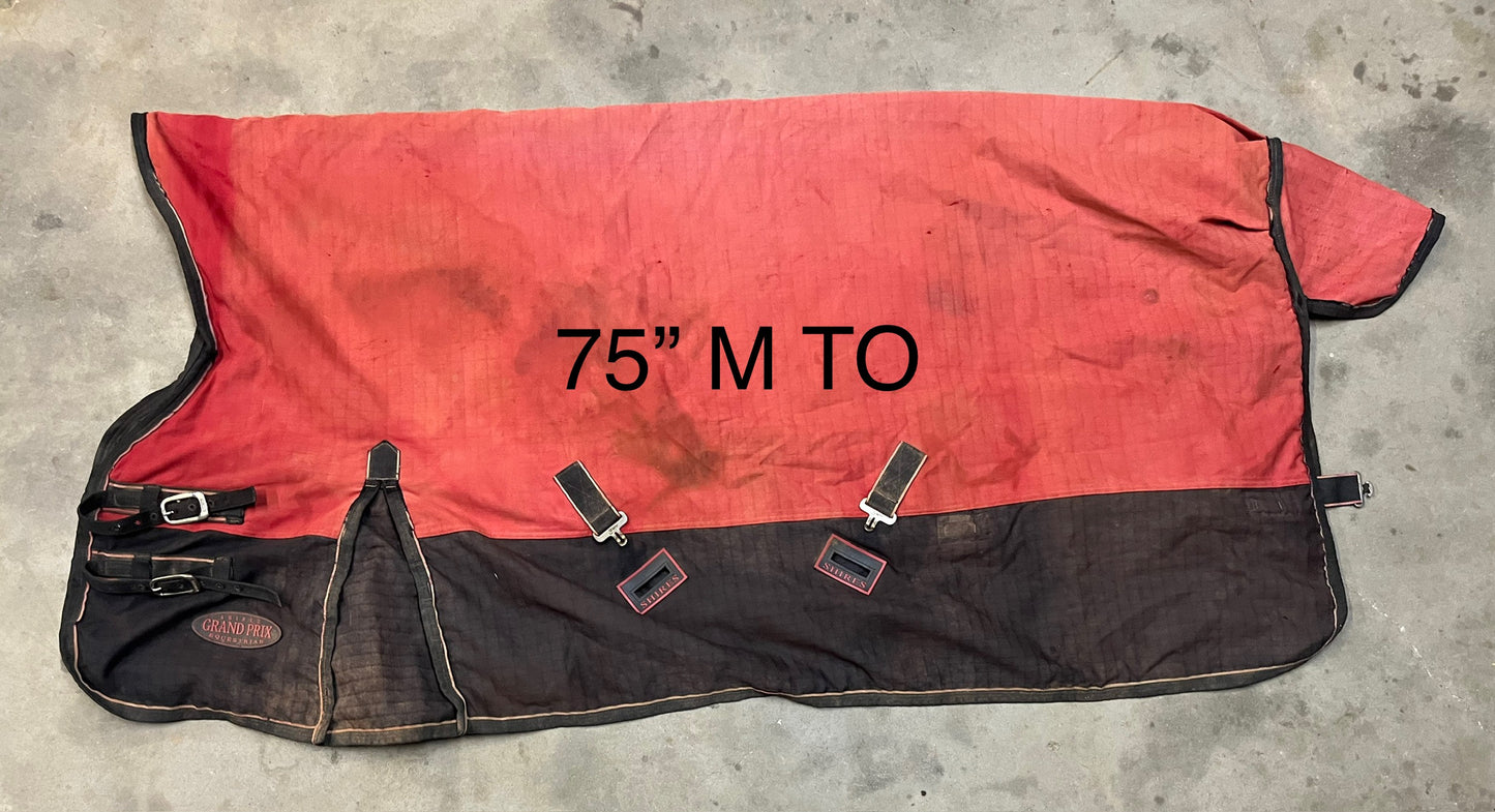 Shires Medium T/O - 75”