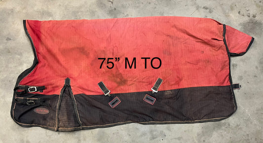 Shires Medium T/O - 75”
