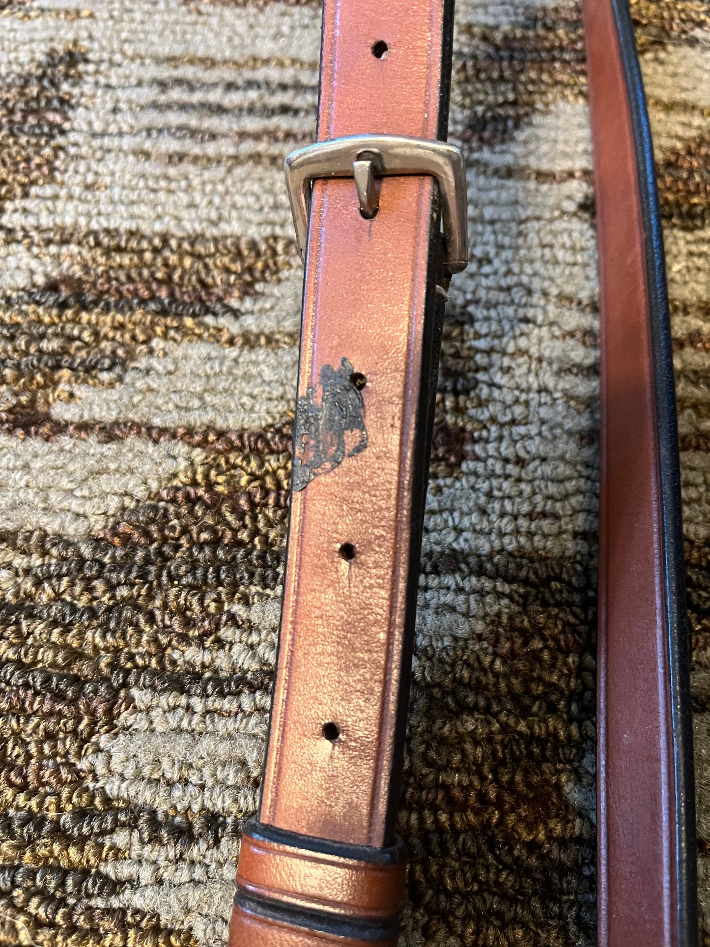 Rodrigo Running Martingale