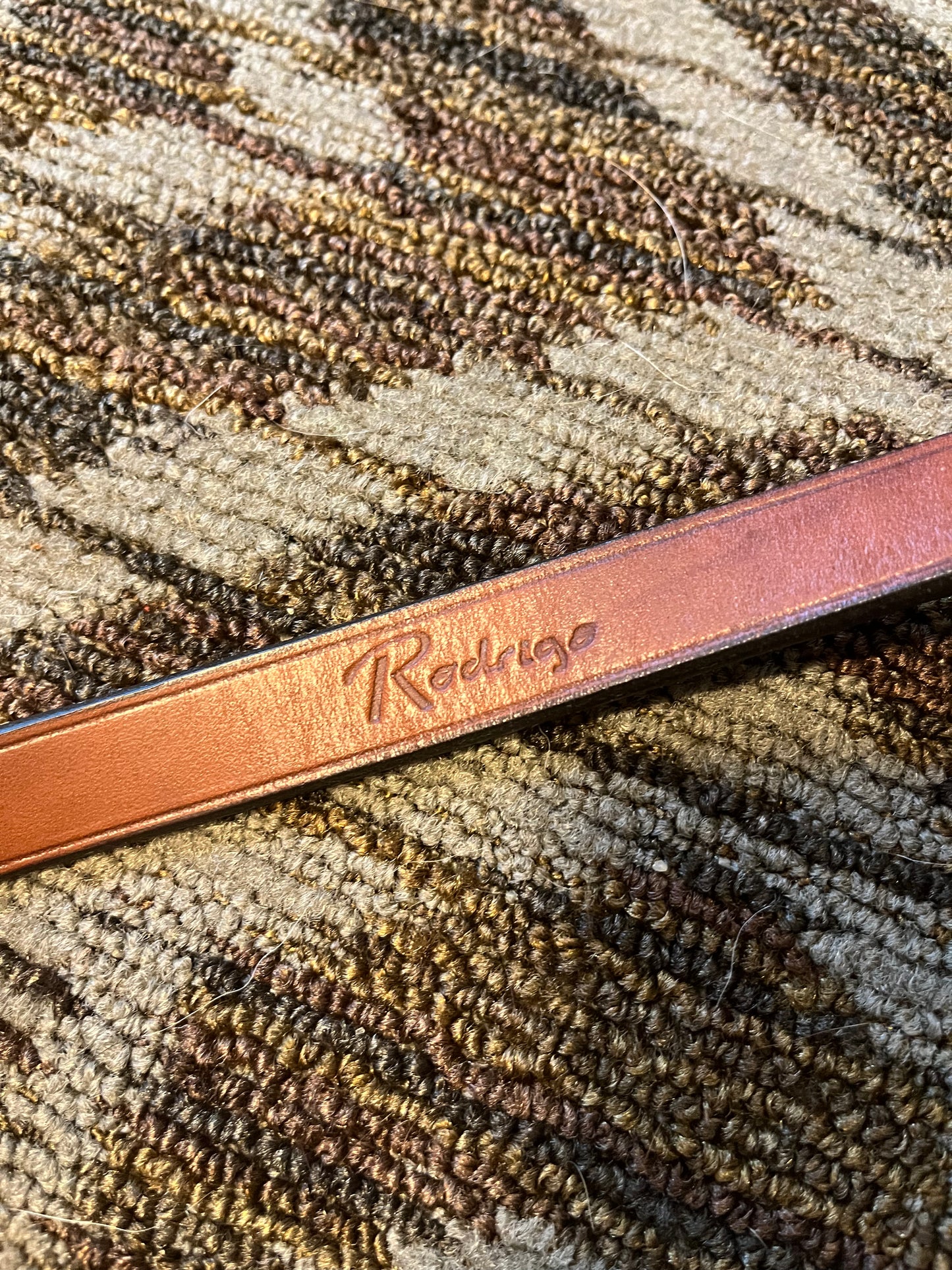 Rodrigo Running Martingale