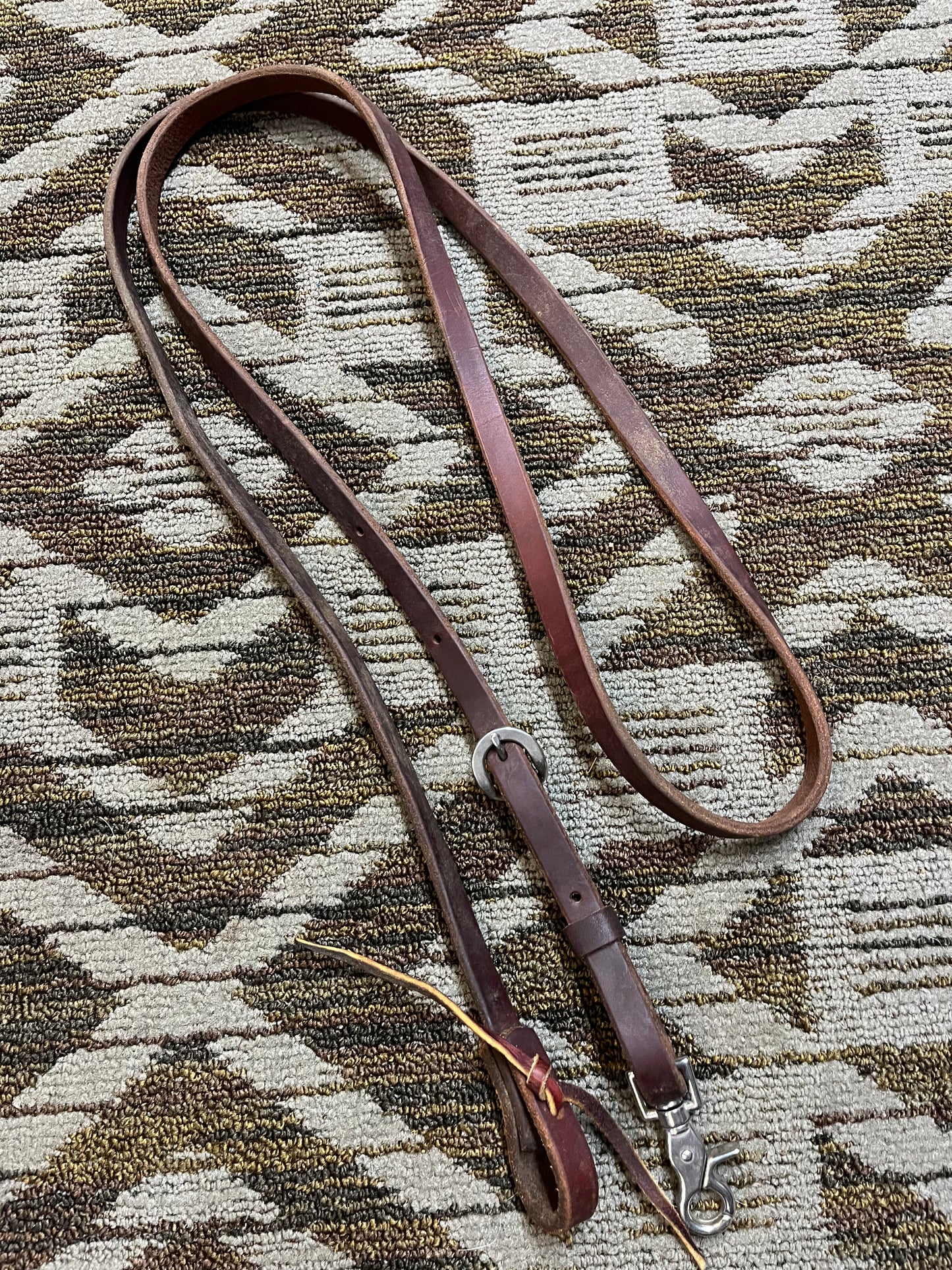 Heavy Oil Loop Reins