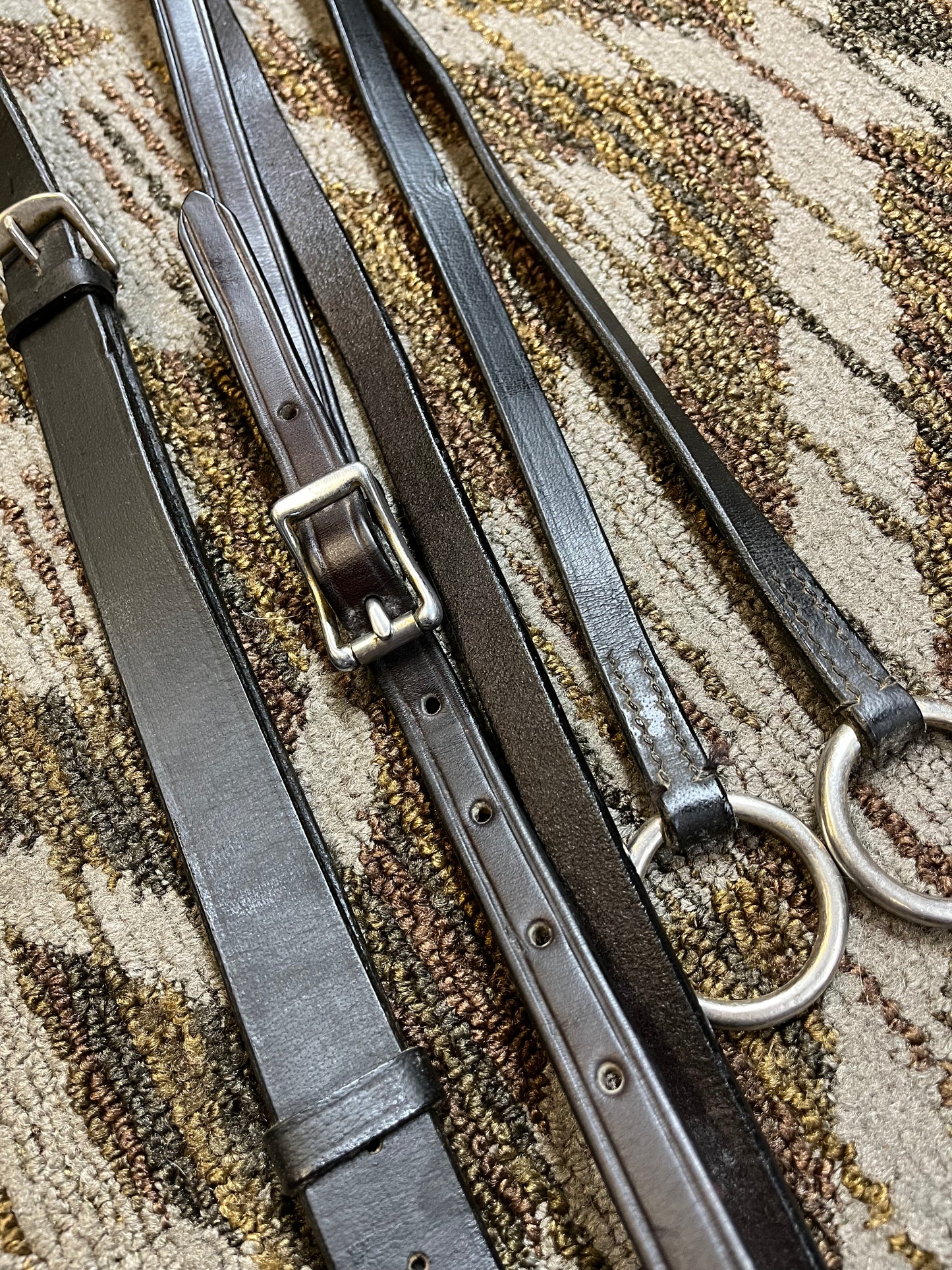 Two Tone Running Martingale