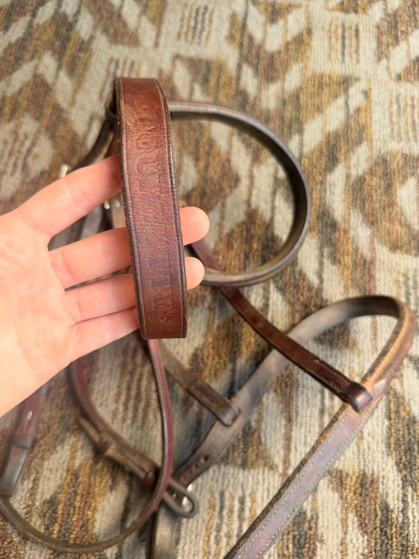 Soft Courbette Bridle