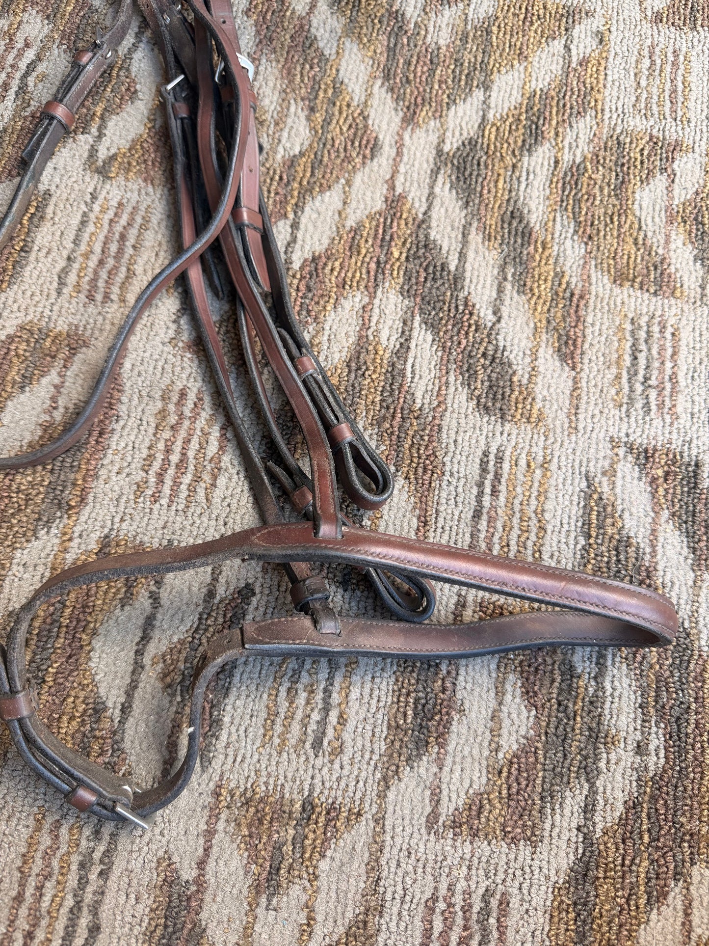 Brown Raised Bridle