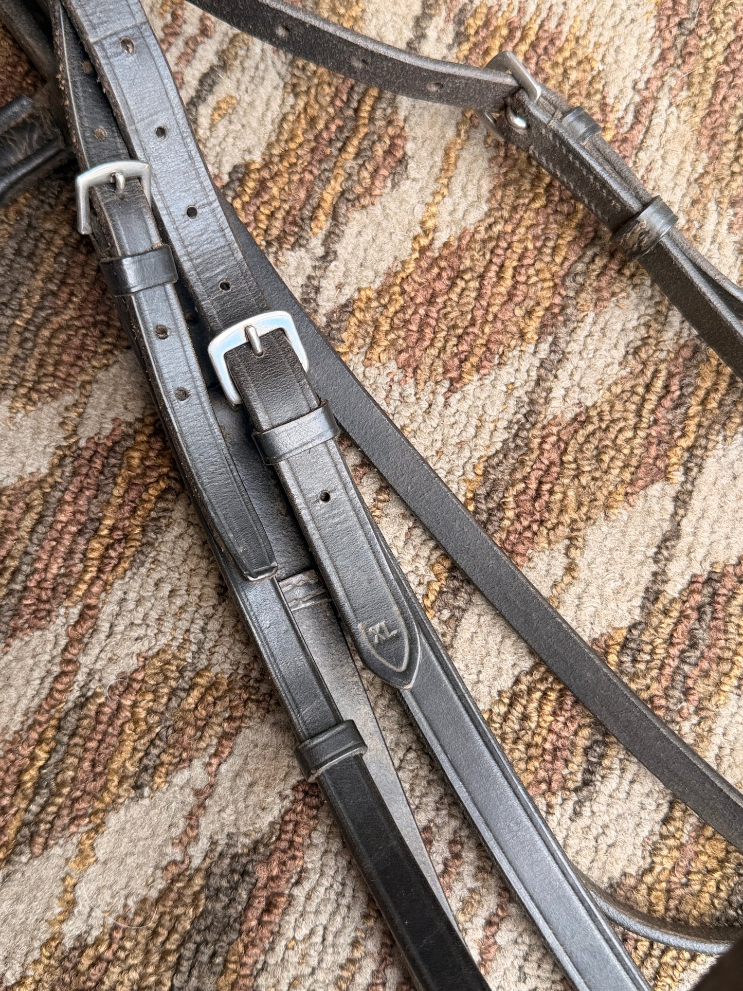 Padded Dressage Bridle