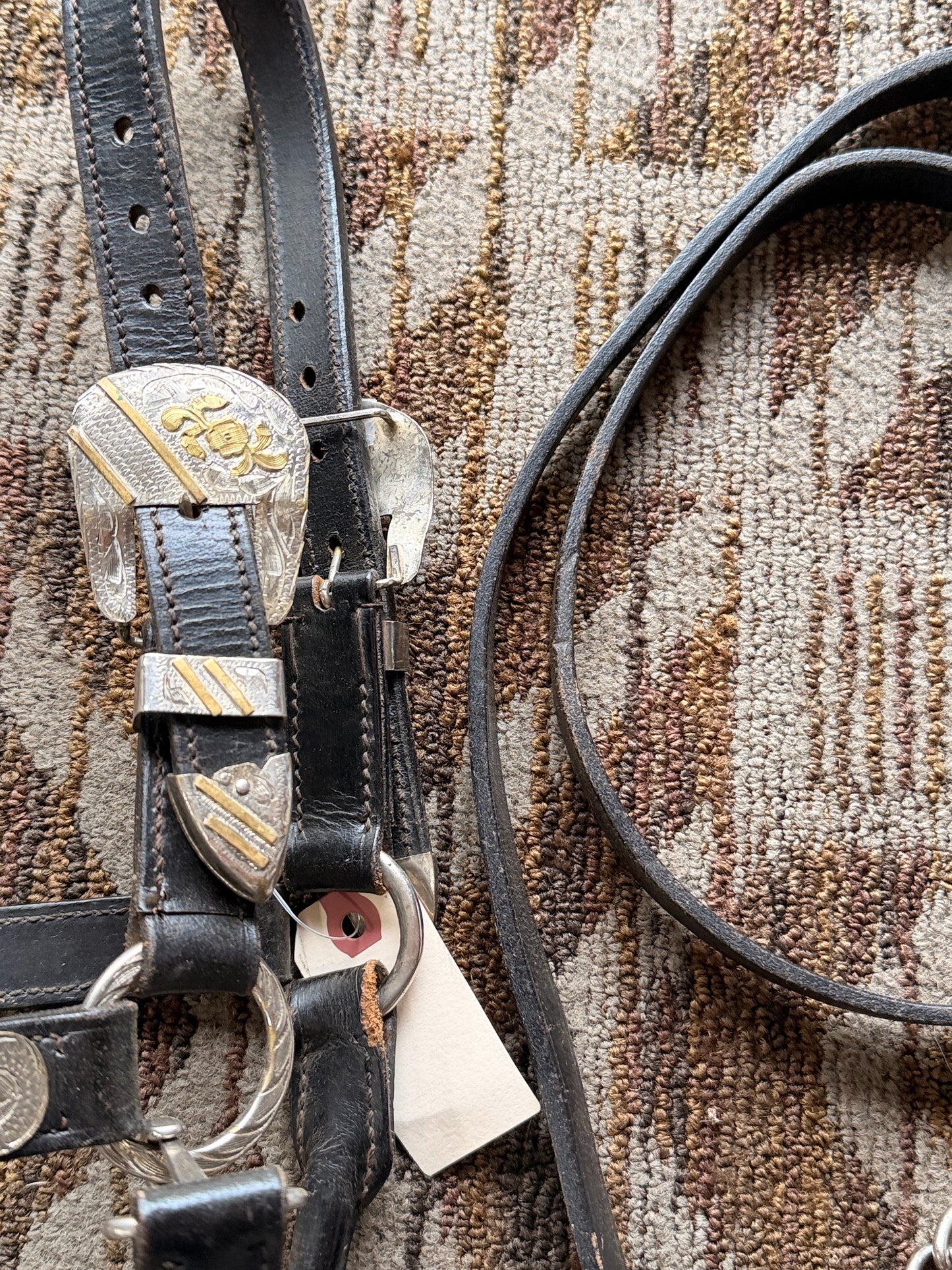 Black Show Halter w/ Lead