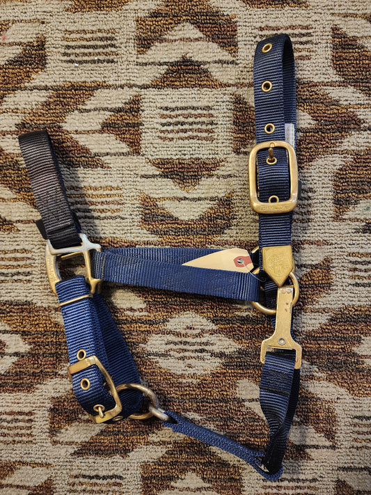 Hamilton Halter