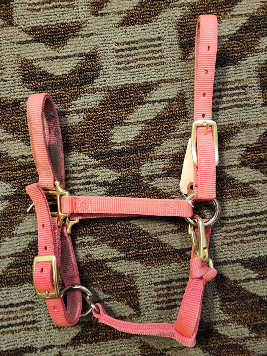 Weaver Halter