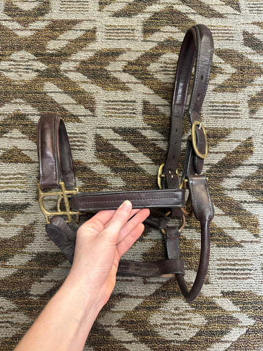 Padded Dover Halter