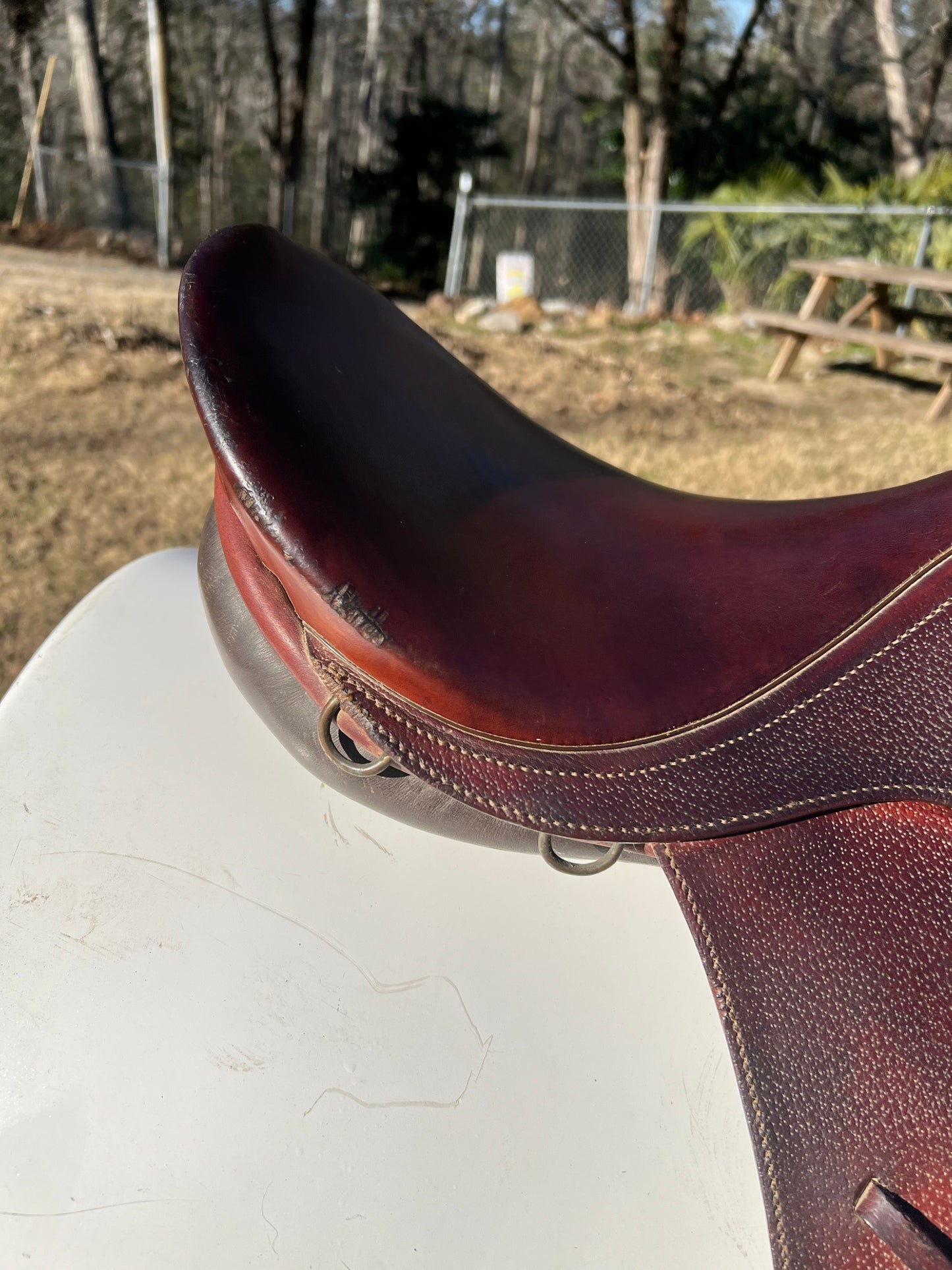 Caprilli by Bates All Purpose Saddle