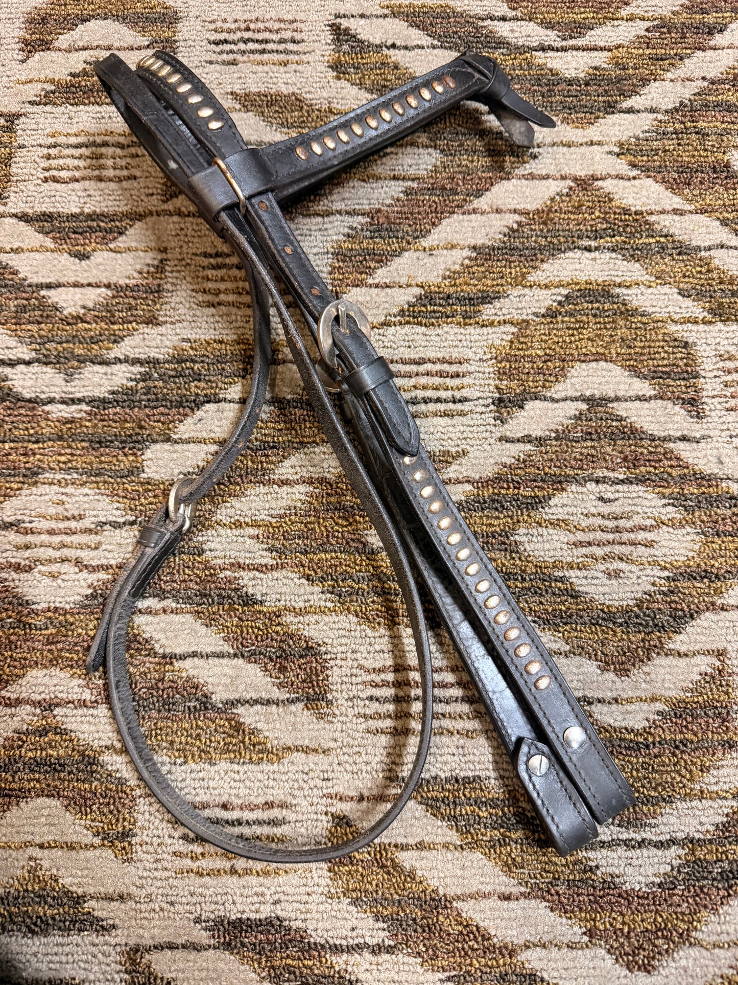 Black Studded Headstall w/ Futurity Knot