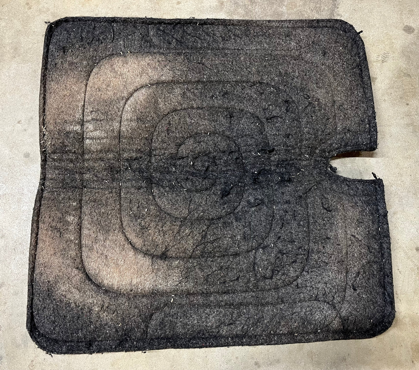 Diamond Wool Cutback Pad