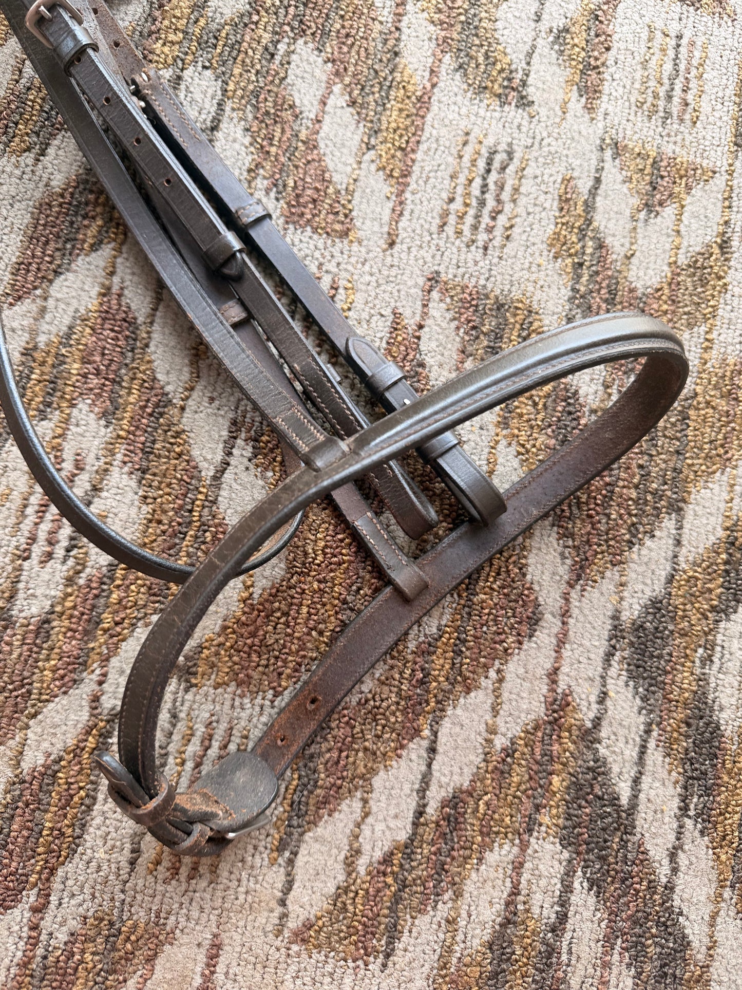 Brown Raised Bridle