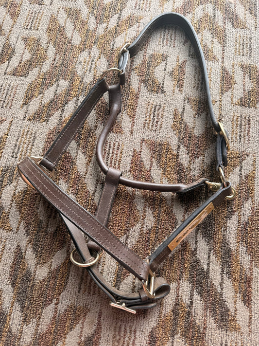 Leather Halter w/ Nameplate