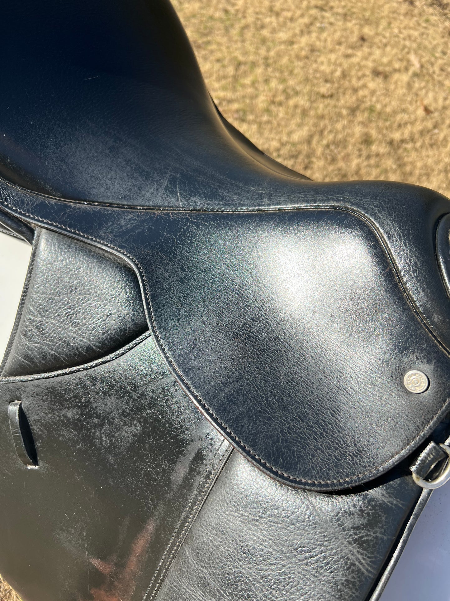 Collegiate Dressage Saddle