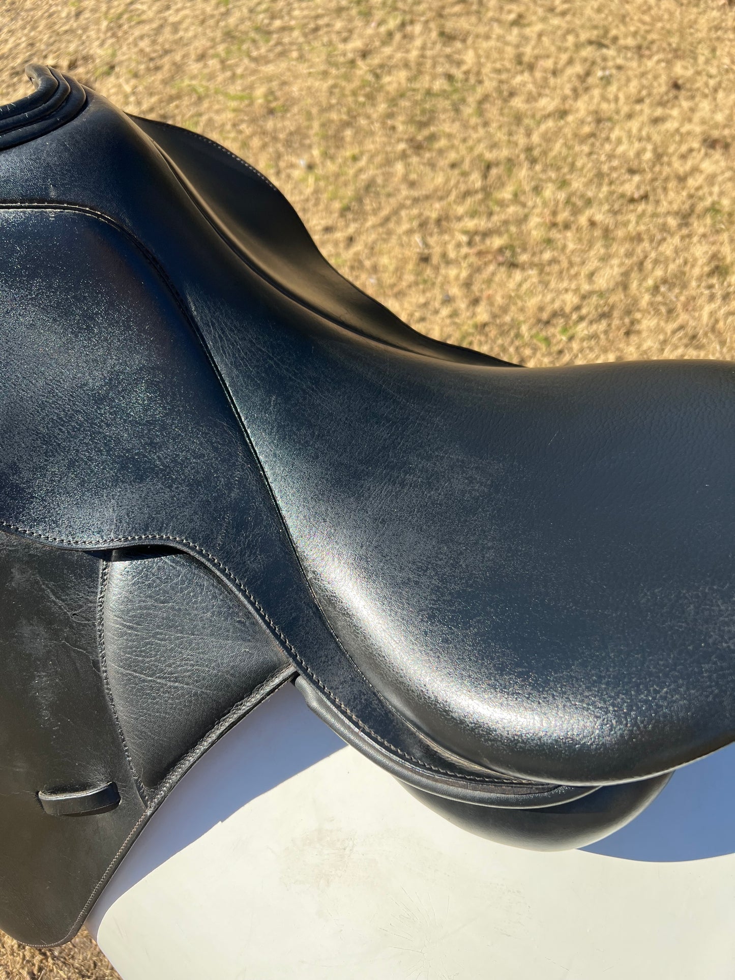 Collegiate Dressage Saddle