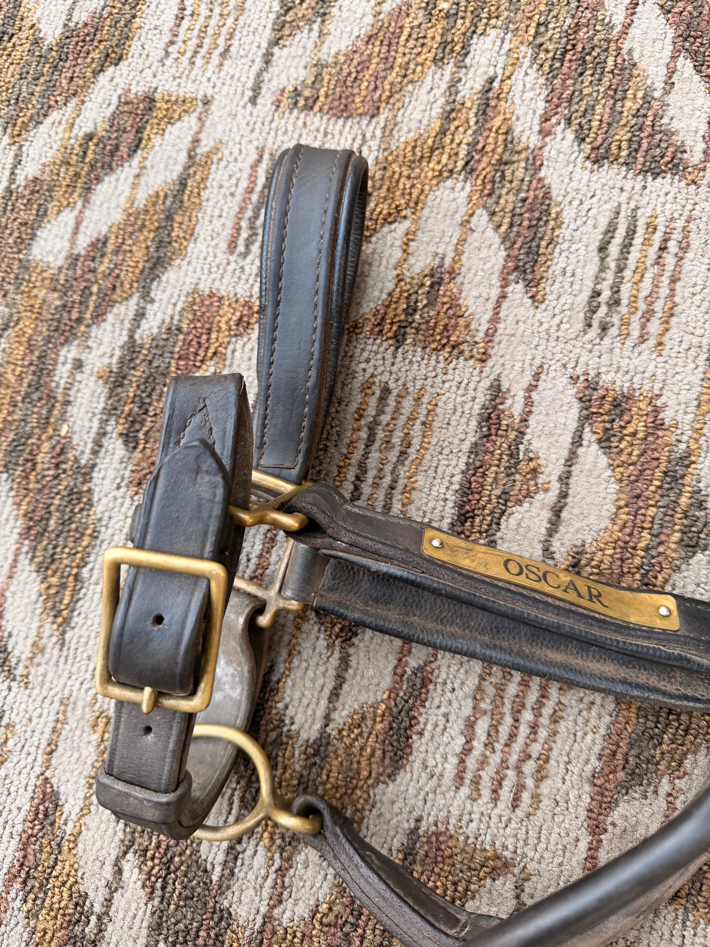 Padded Horse Nameplate Halter