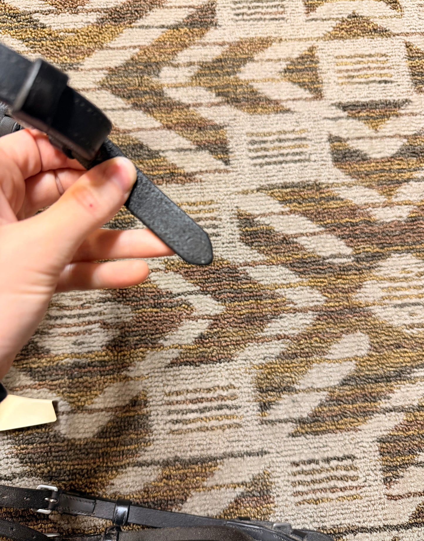 Harmohn Kraft Dressage Bridle