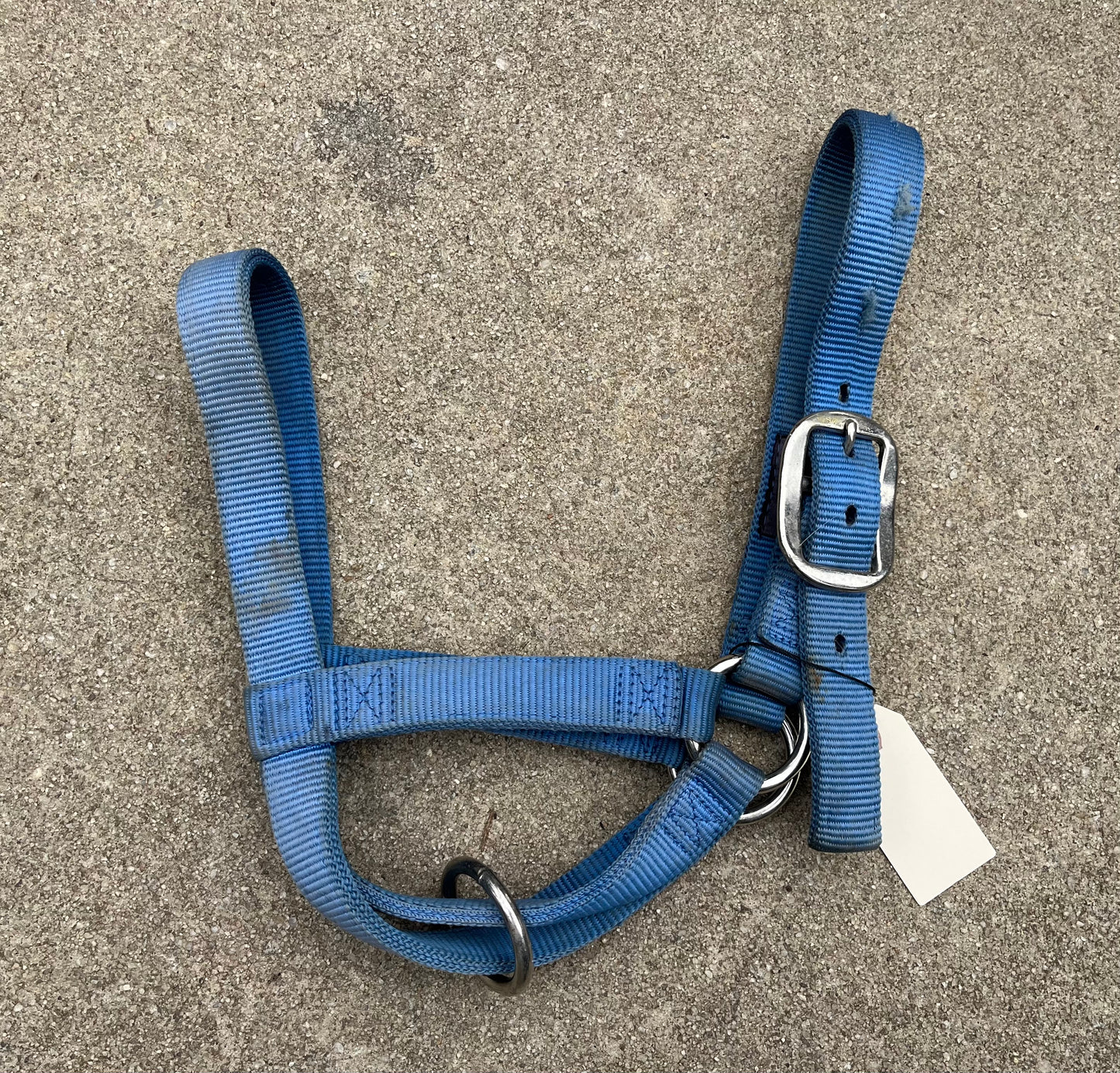 Livestock Halter