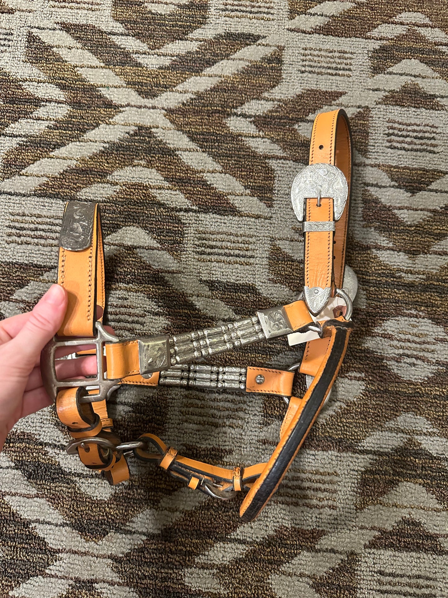 Light Oil Show Halter