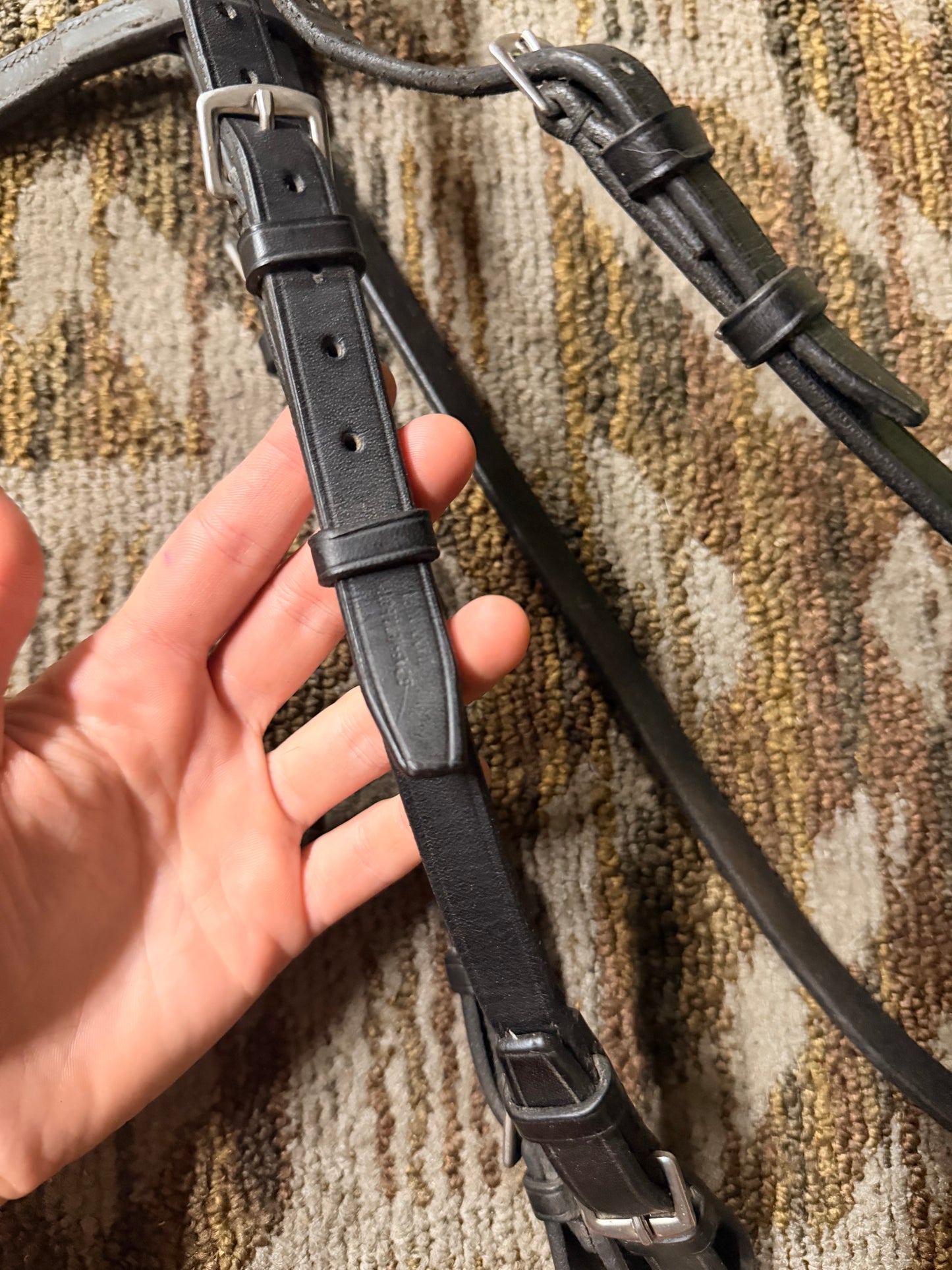 Passier Bridle w/ Clincher Browband