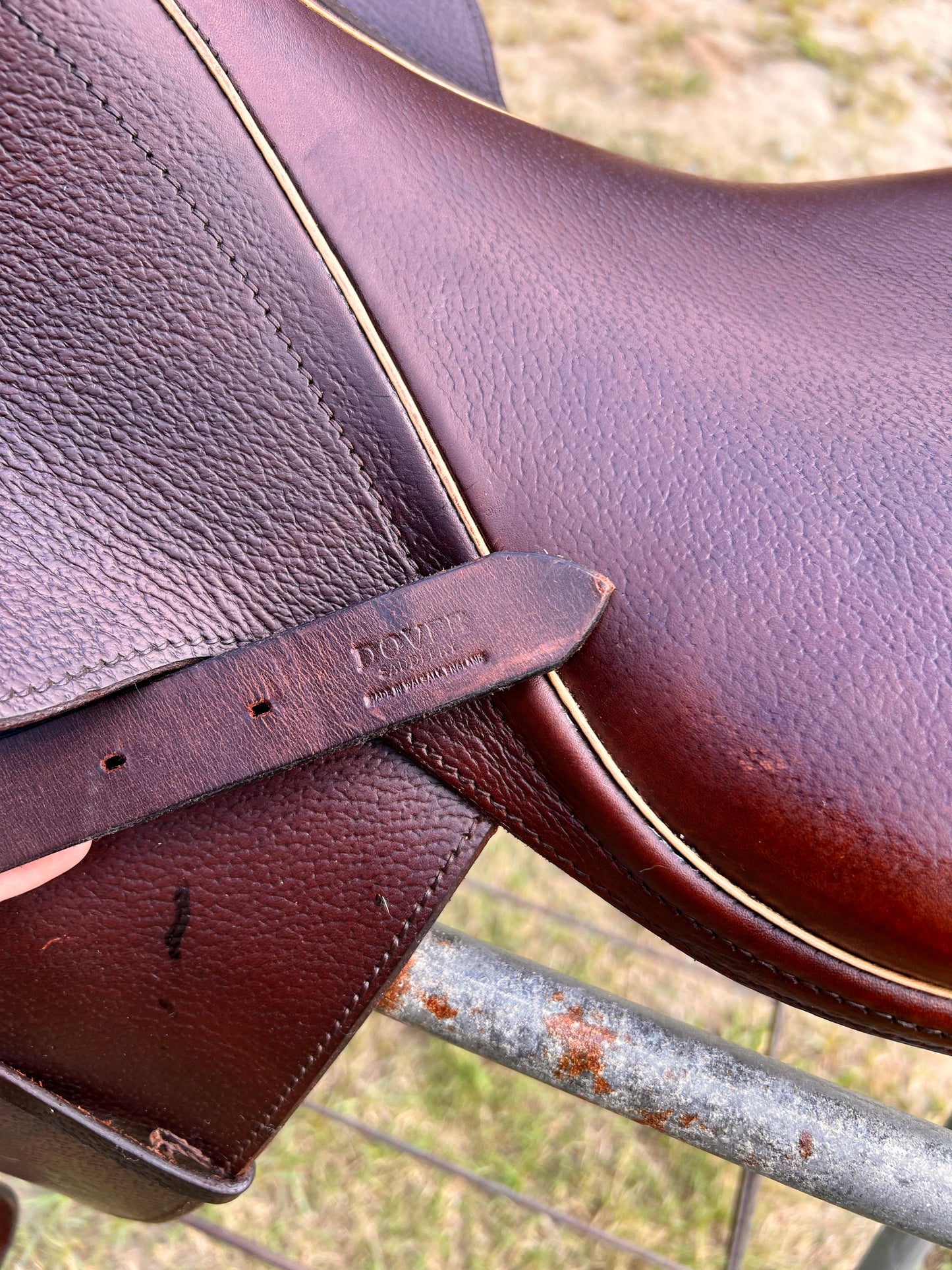 Courbette Derby Close Contact Saddle