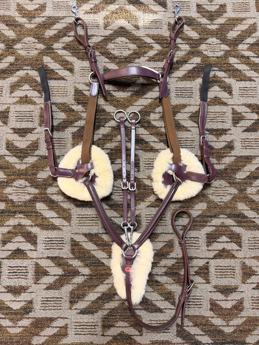 TACKRUS 5 Point Breastplate