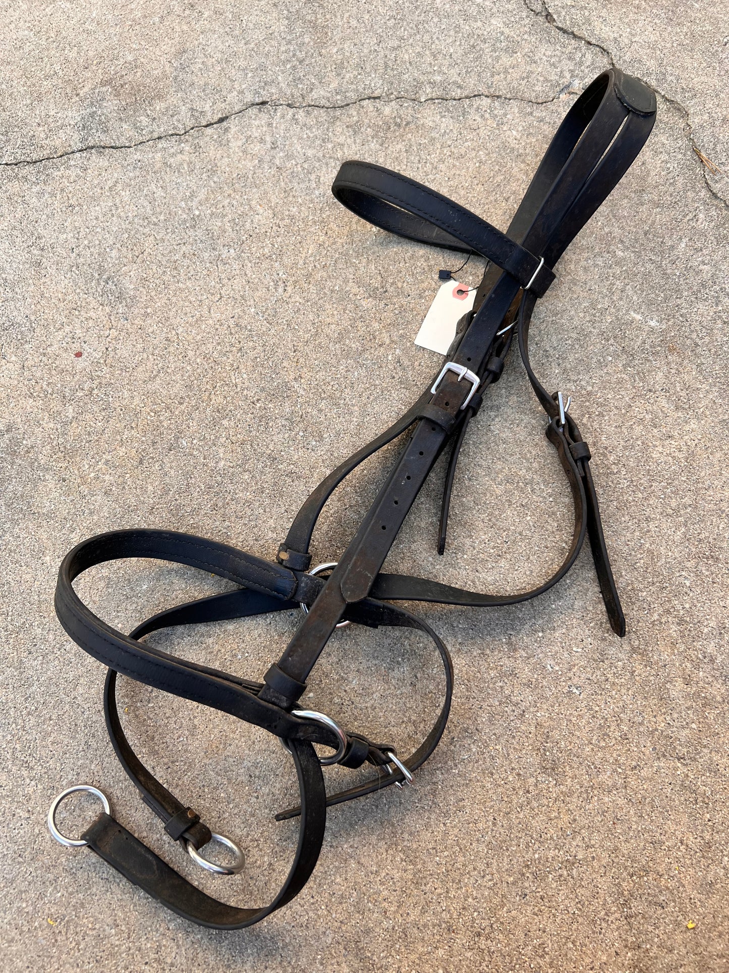 Black Biothane Draft Bitless Bridle