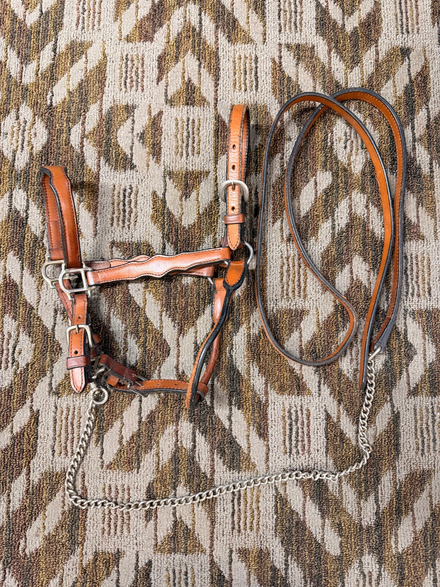 Ranch Show Halter w/ Leas