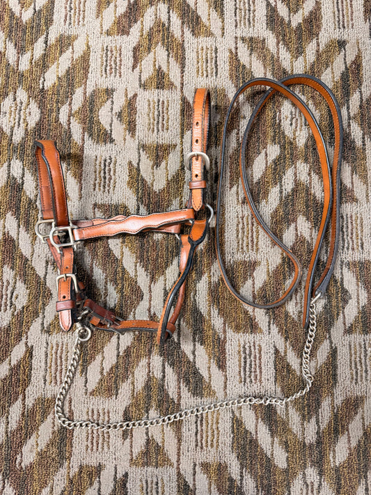 Ranch Show Halter w/ Leas