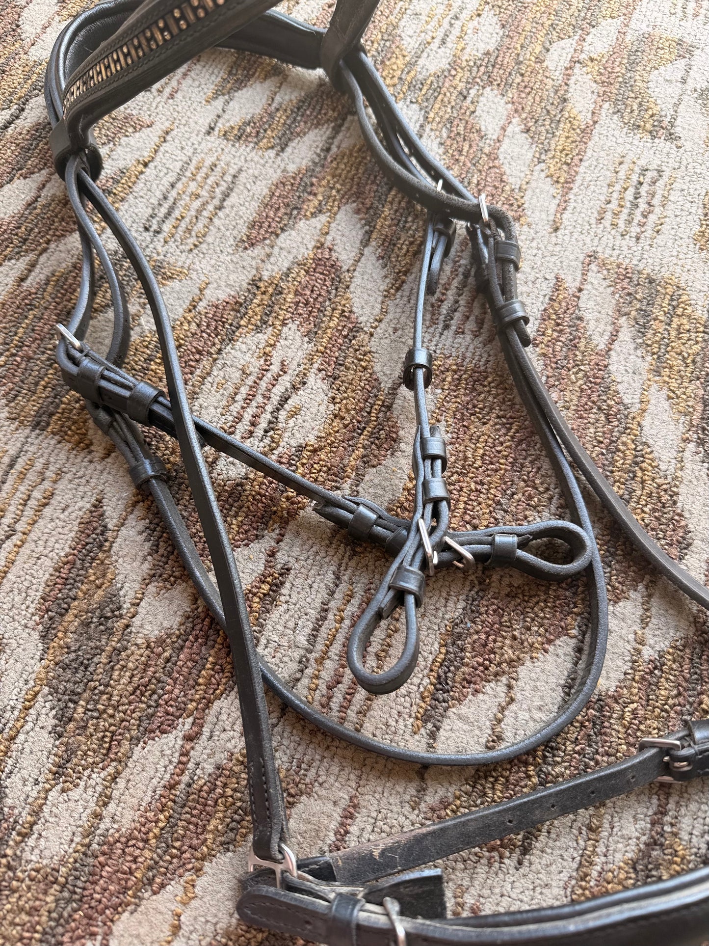 Black Padded Bridle w/ Dropped Noseband
