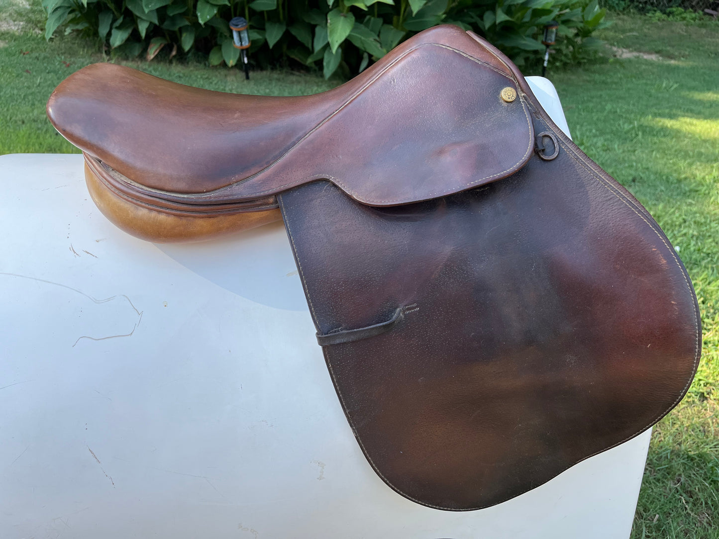 Collegiate Close Contact Saddle