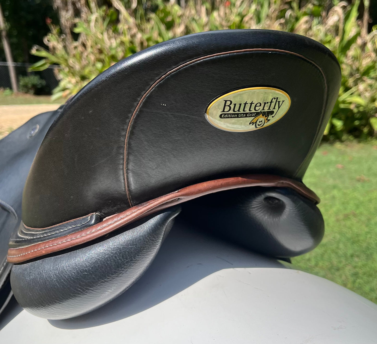 Pegasus Butterfly Bernice Dressage Saddle