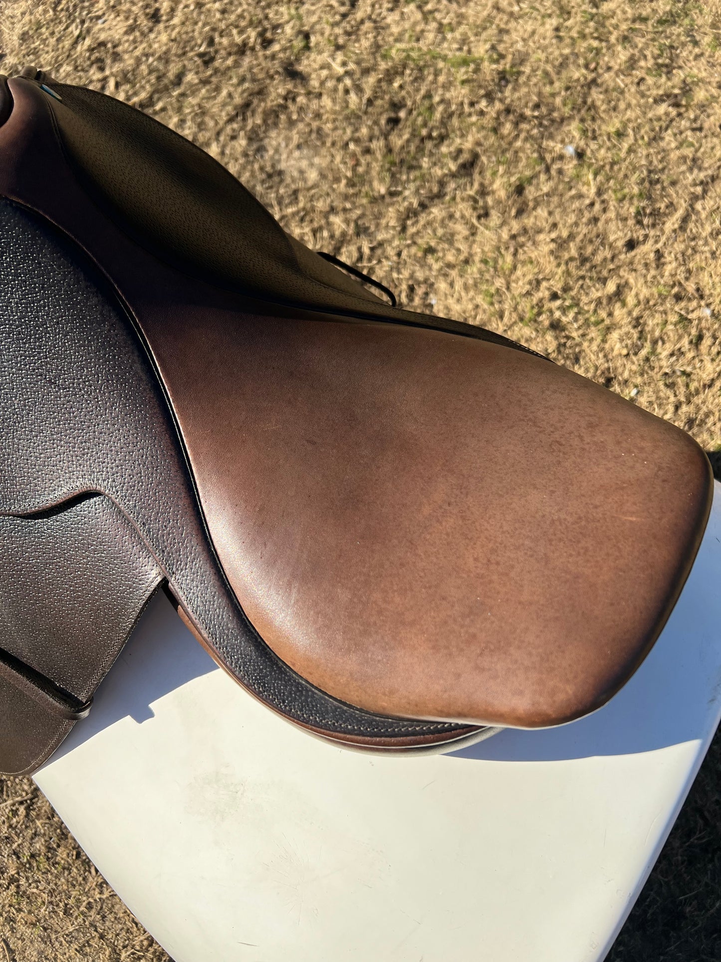 Campbell Close Contact Saddle