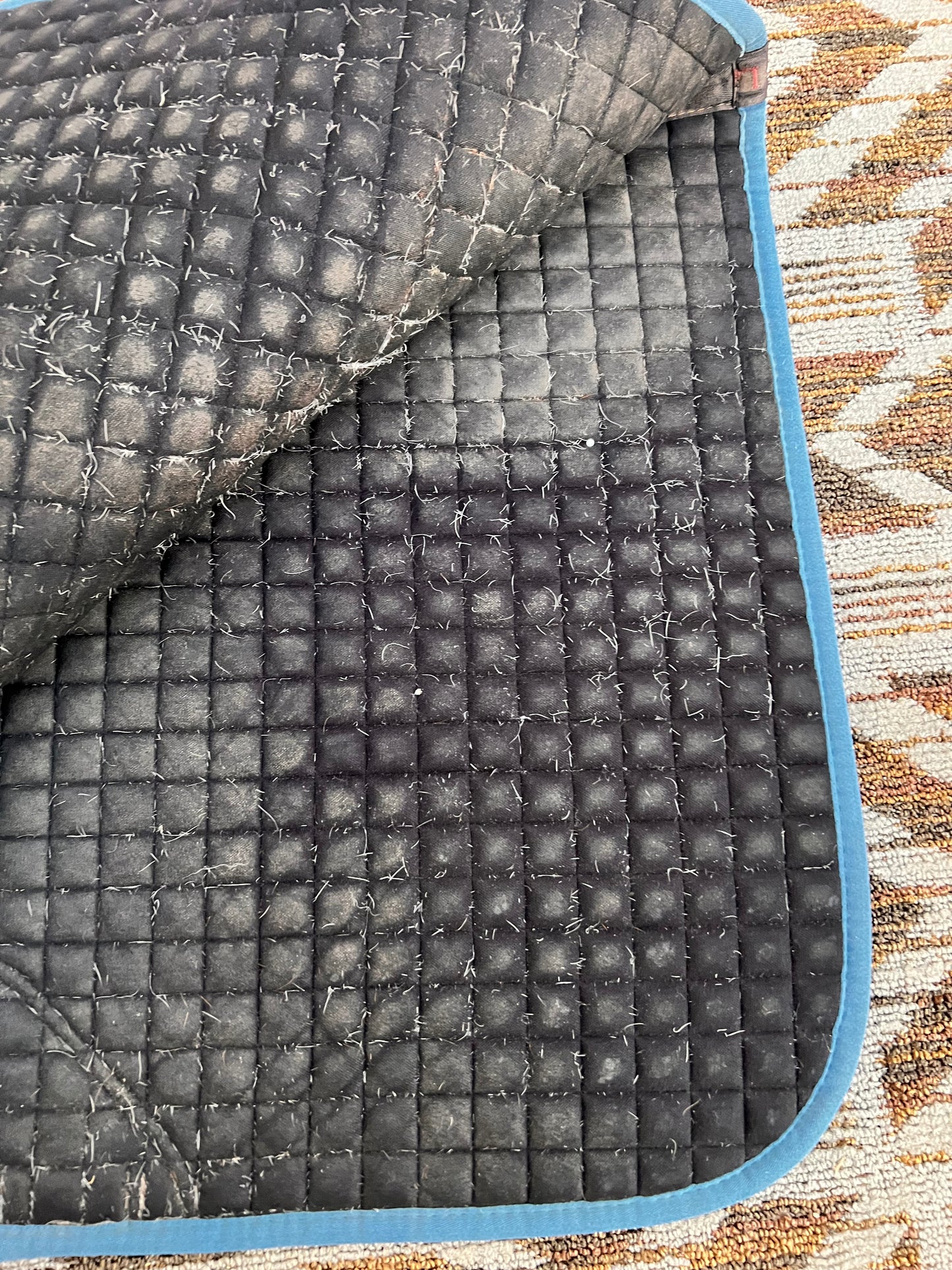 LeMieux Suede Dressage Pad