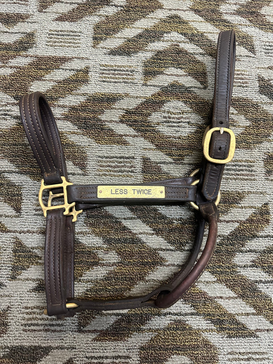 Triple Stitched Leather Halter w/ Nameplate