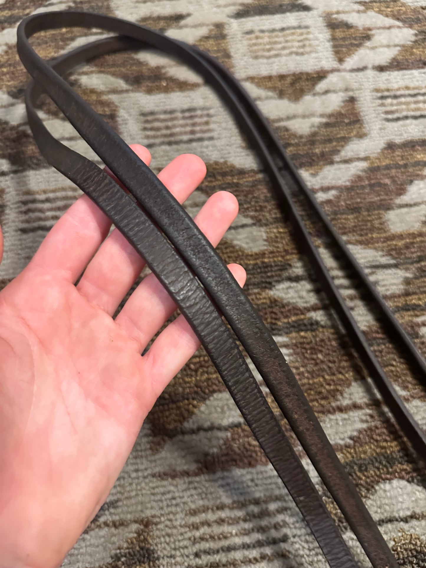 Brown Flat Reins w/ Clips