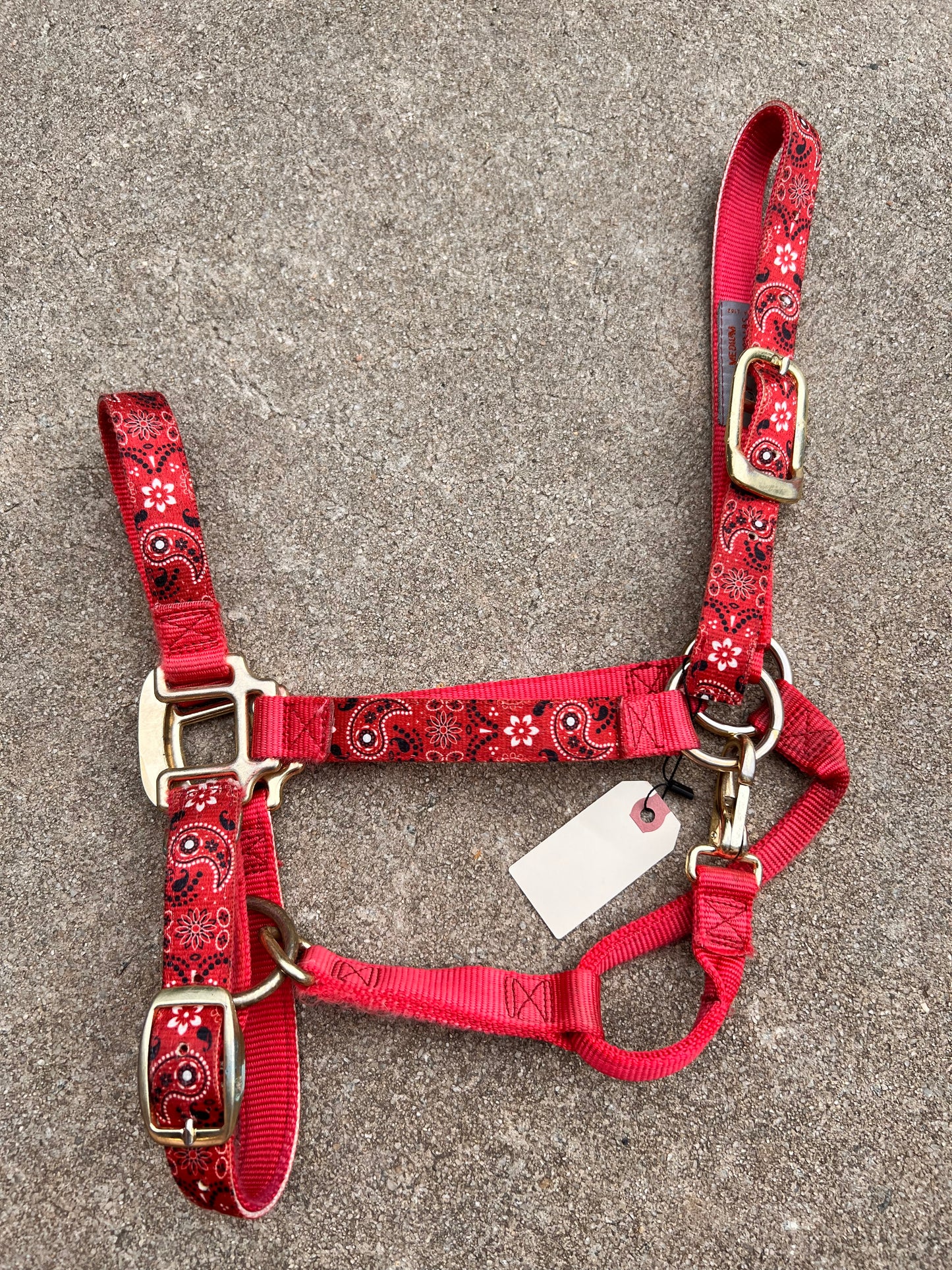 Red Halter - Medium