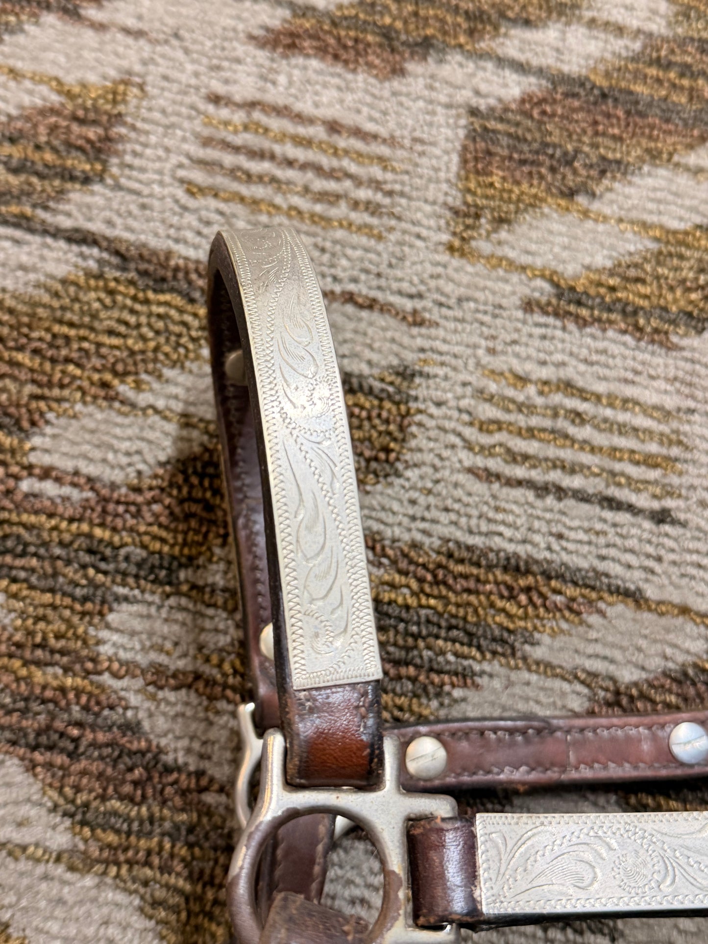 Circle Y Silver Show Halter