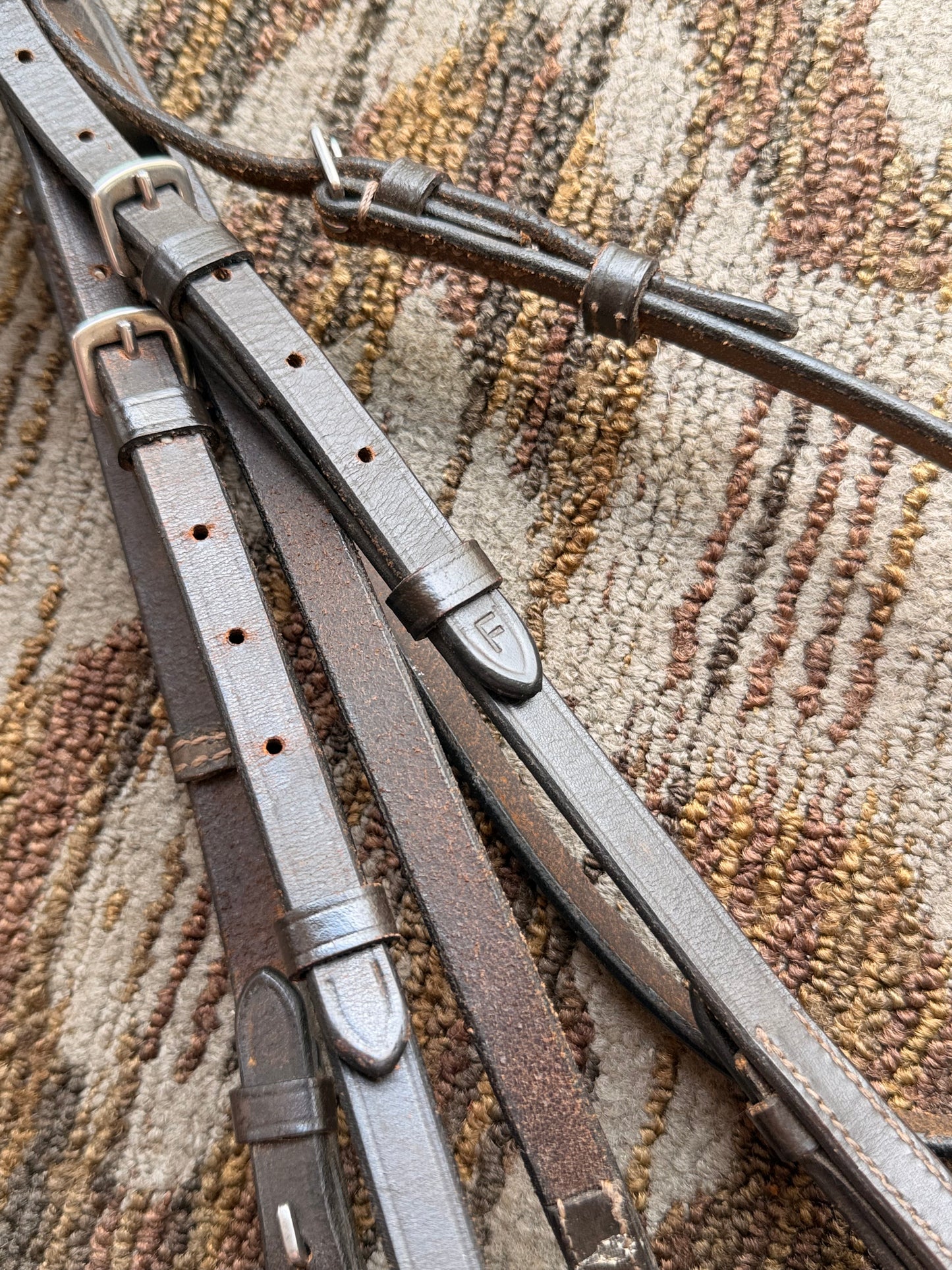 Brown Raised Bridle