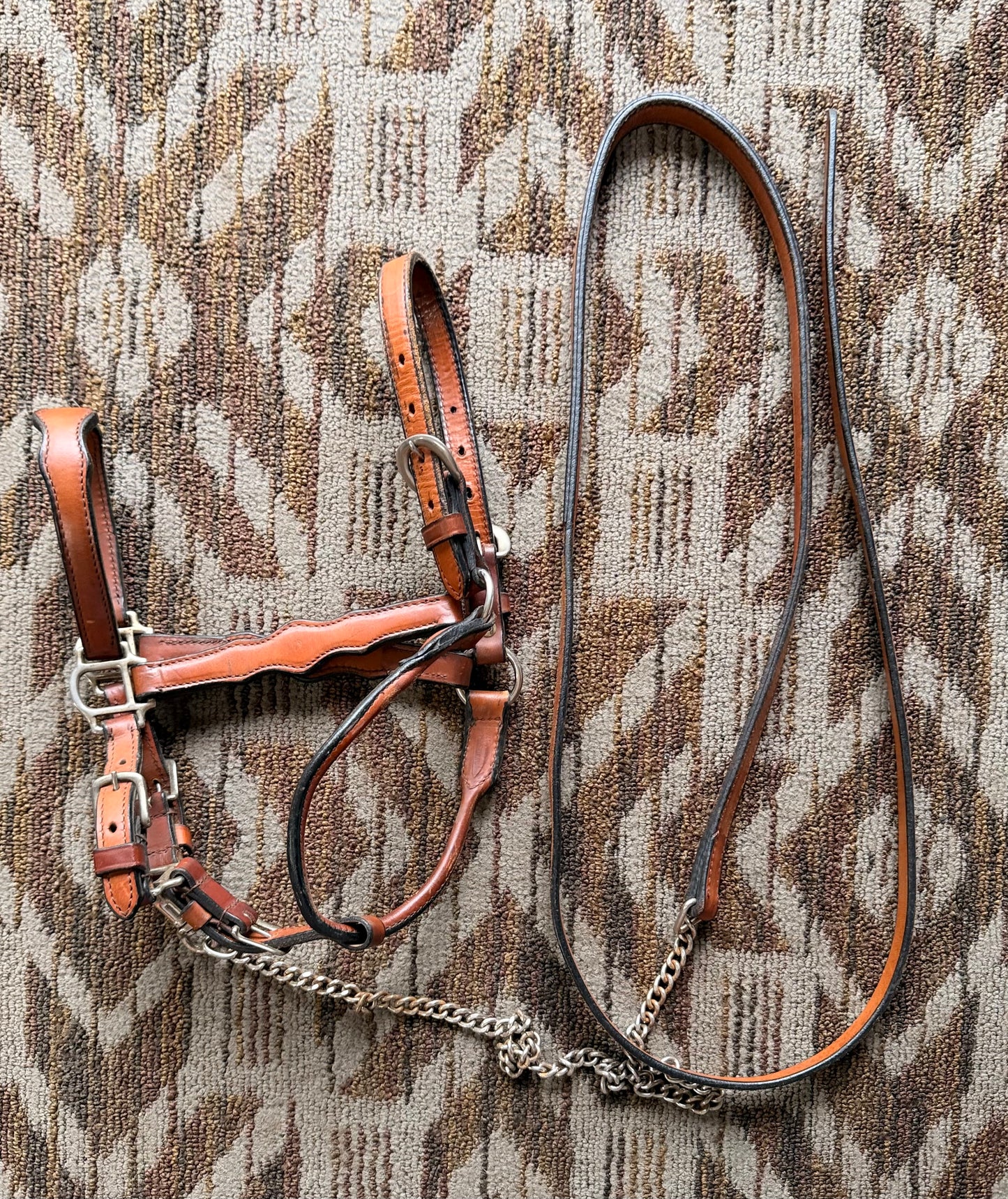 Showmanship Show Halter
