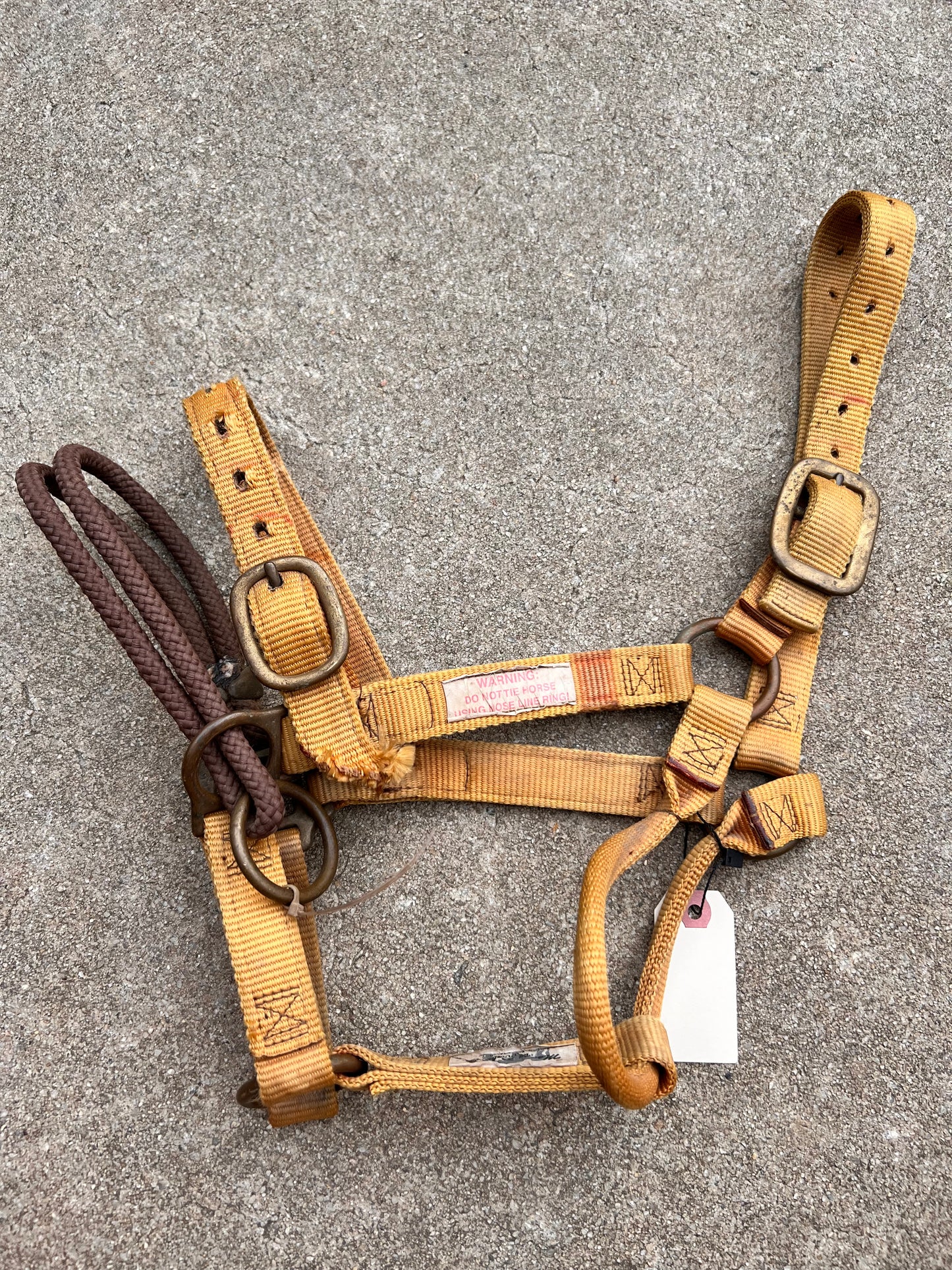 Monty Roberts Riding Halter - Cob