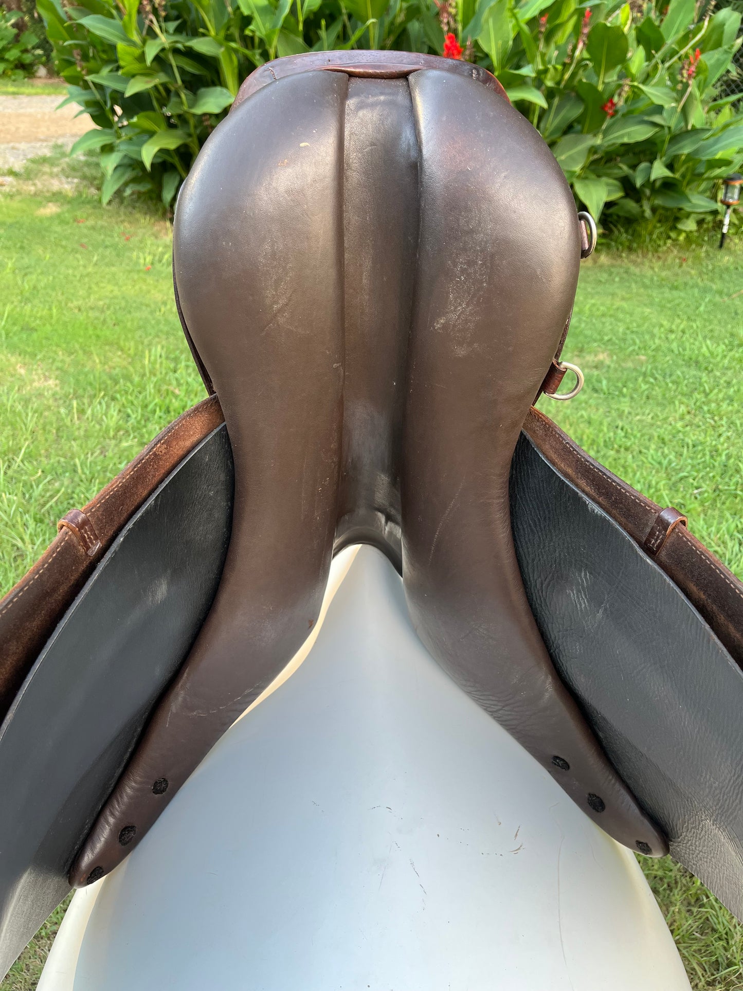 Courbette Derby Close Contact Saddle