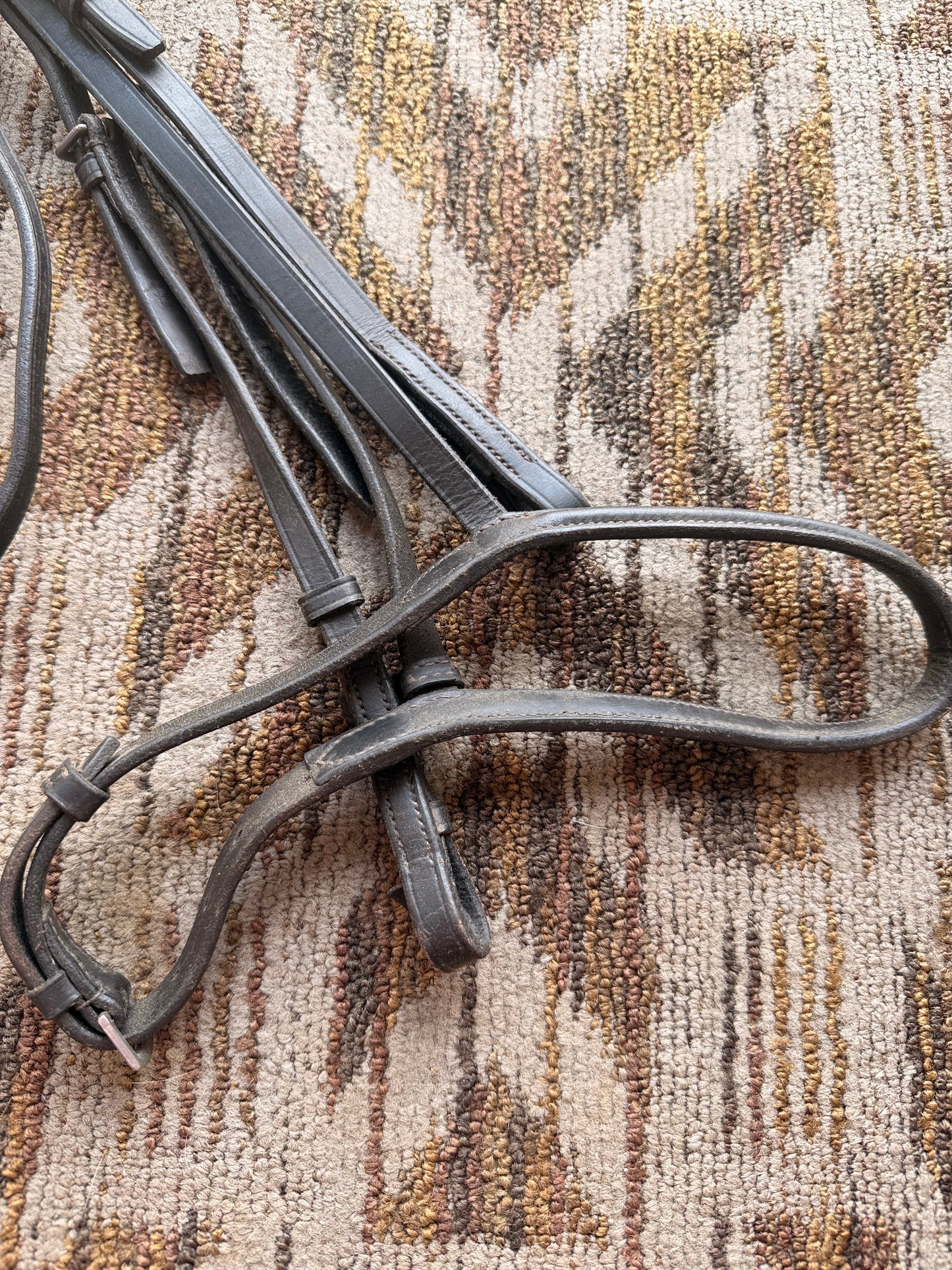 Black Bridle