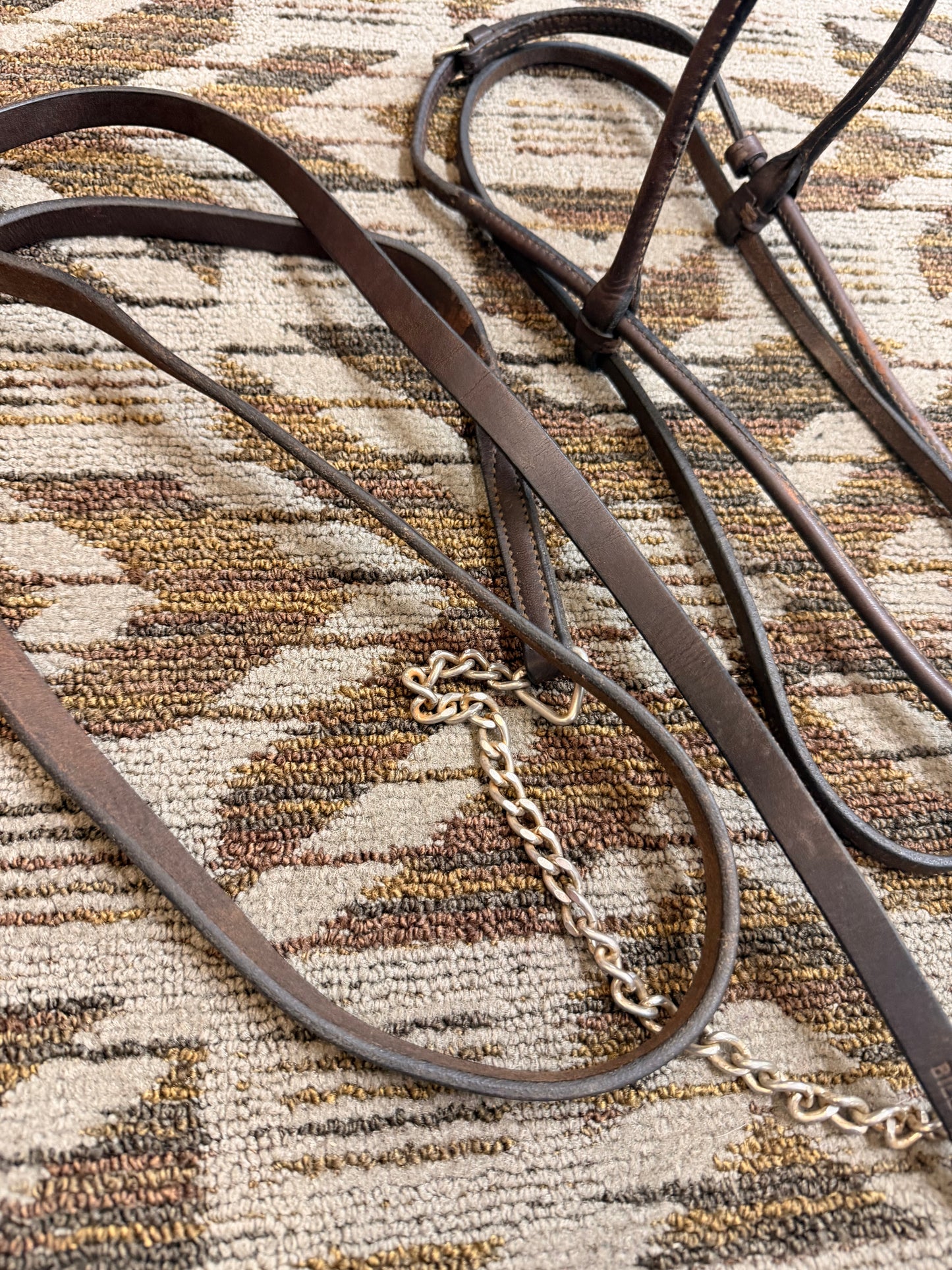 Billy Royal Arabian Show Halter w/ Lead