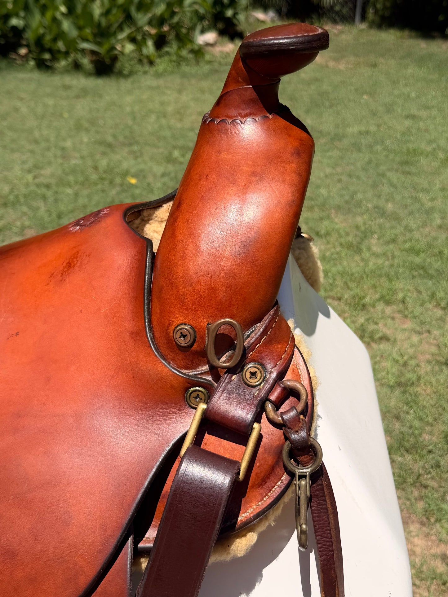 Fred Hook Trail Saddle