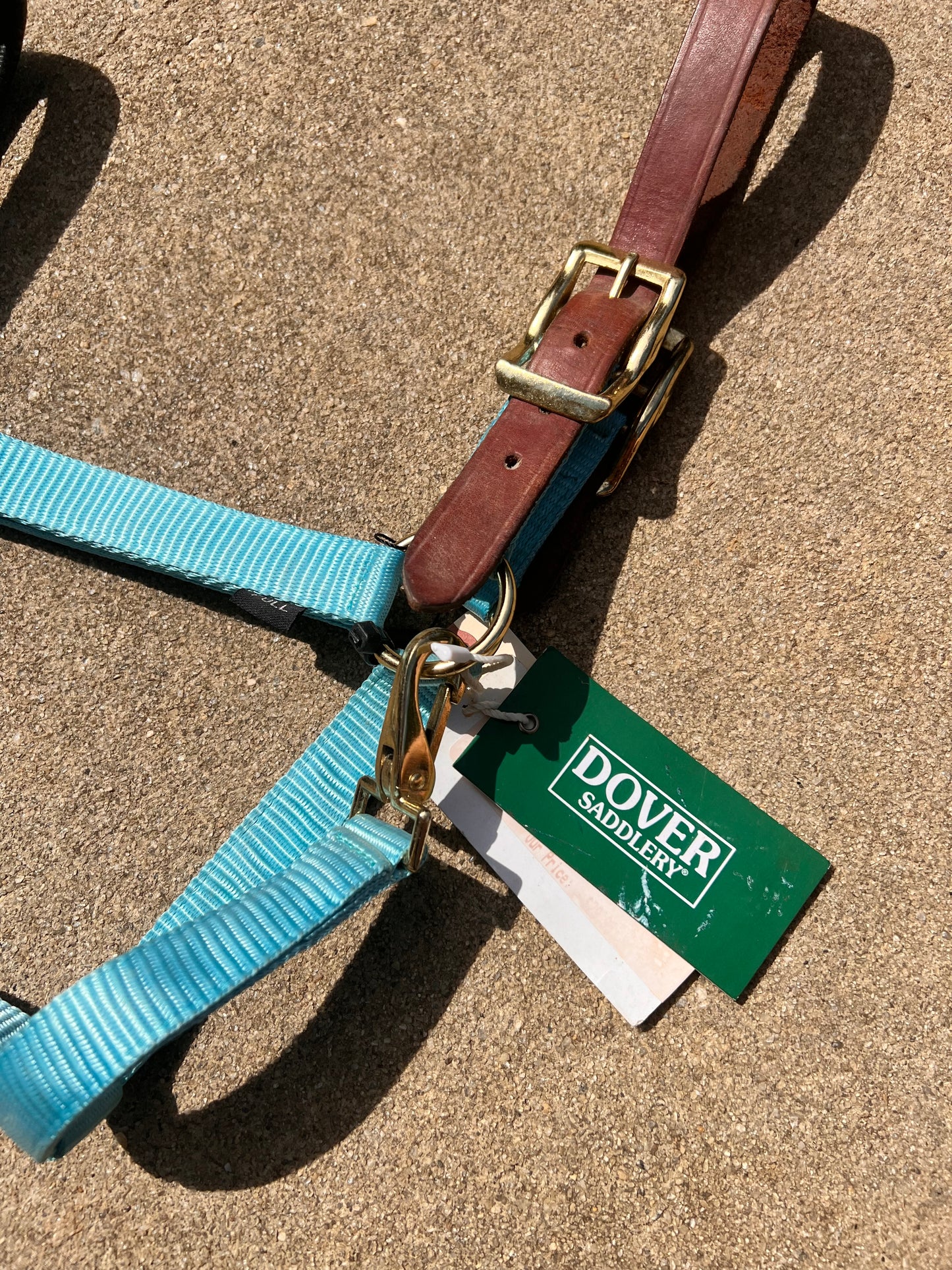 Turquoise Padded Dover Breakaway Halter - Full