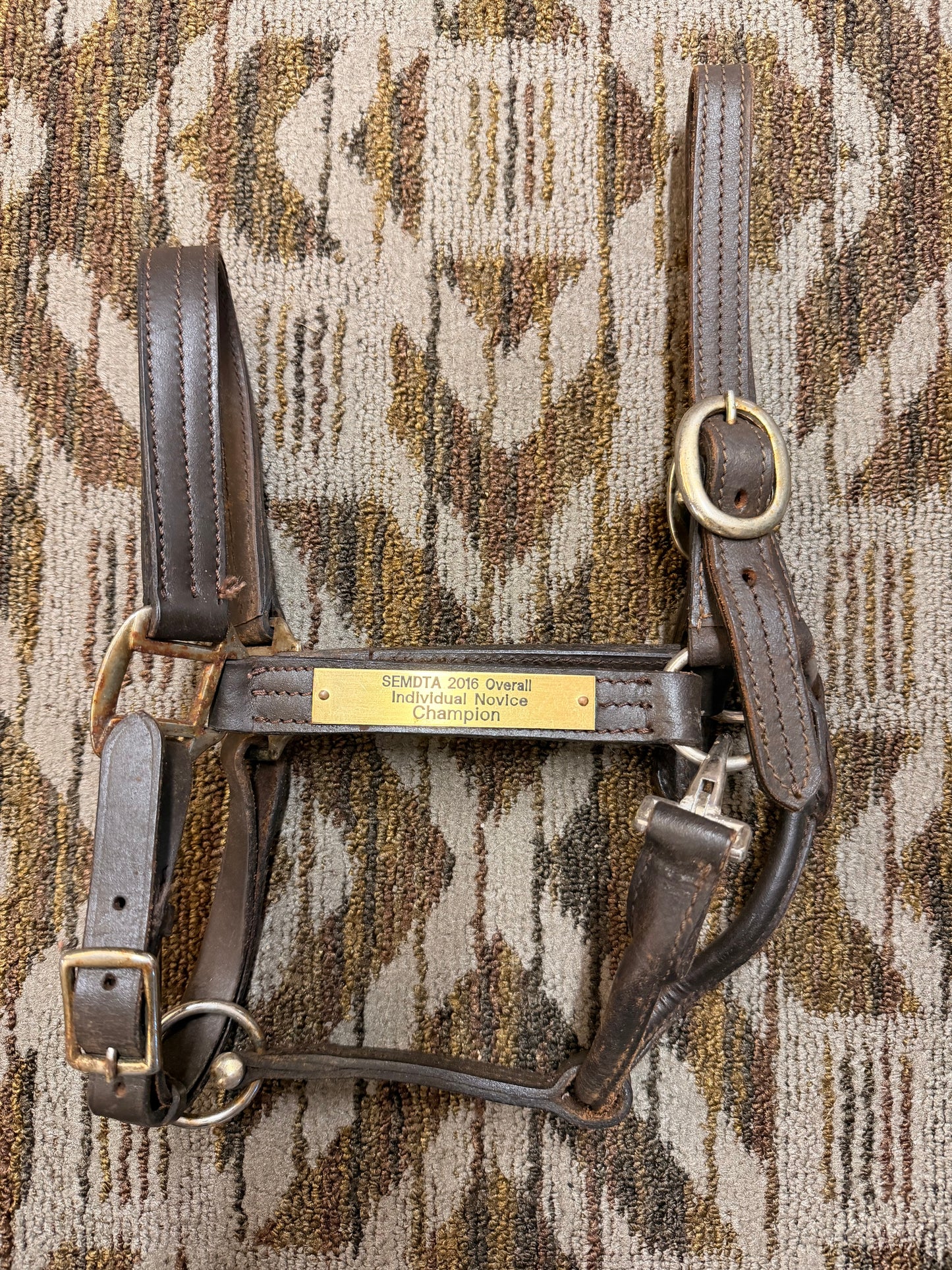 Triple Stitched Leather Halter w/ Nameplate
