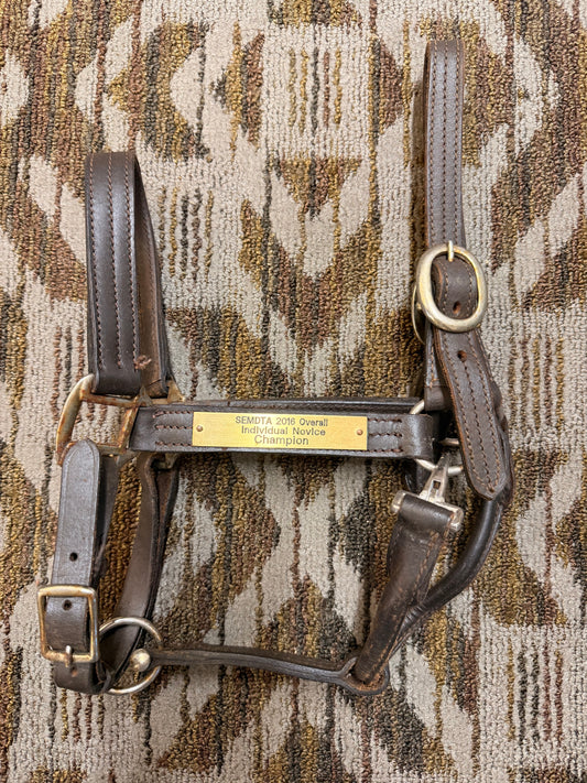 Triple Stitched Leather Halter w/ Nameplate
